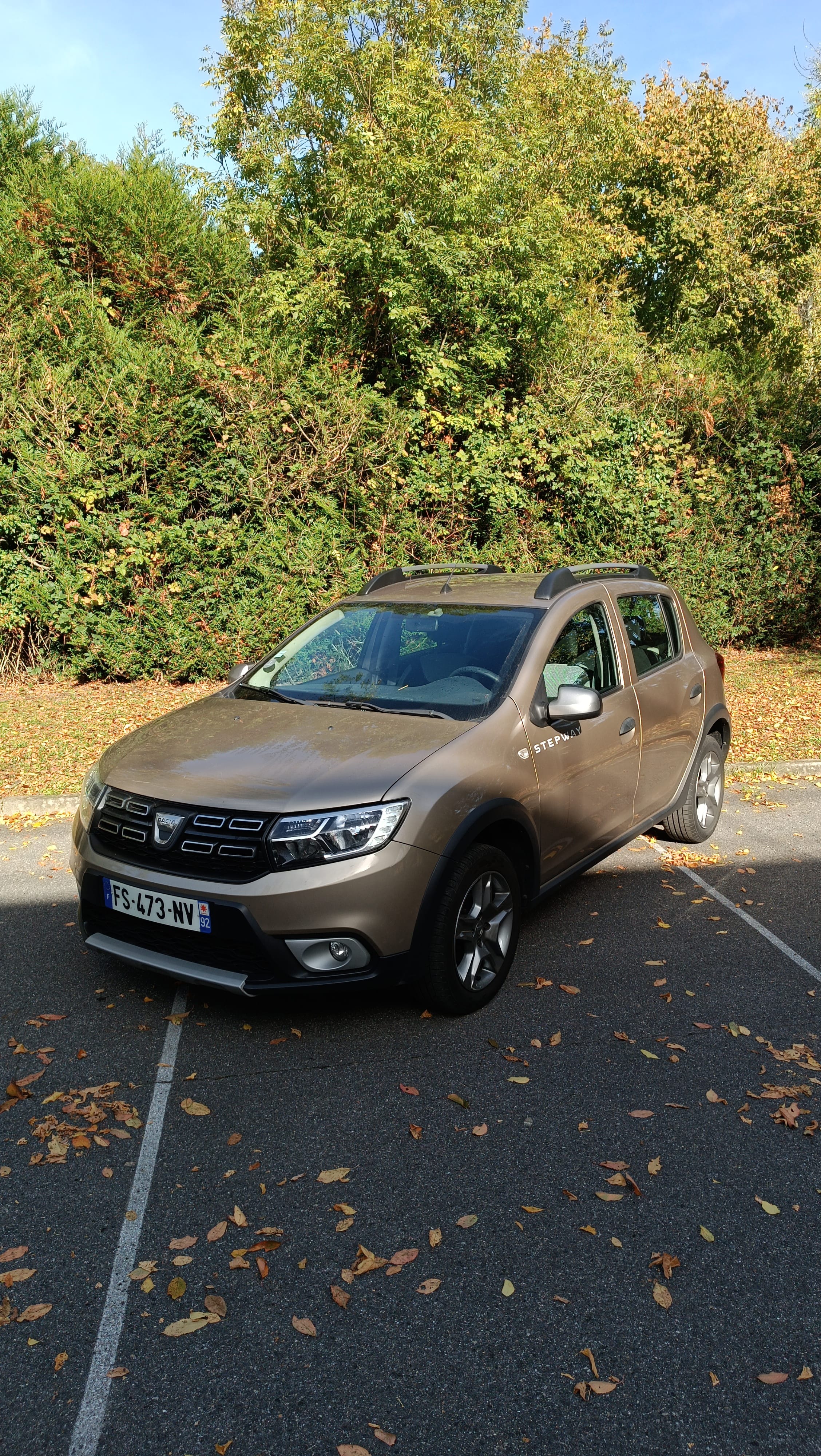 Dacia Sandero Stepway éthanol / E85 avec Climatisation