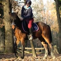 Virginie