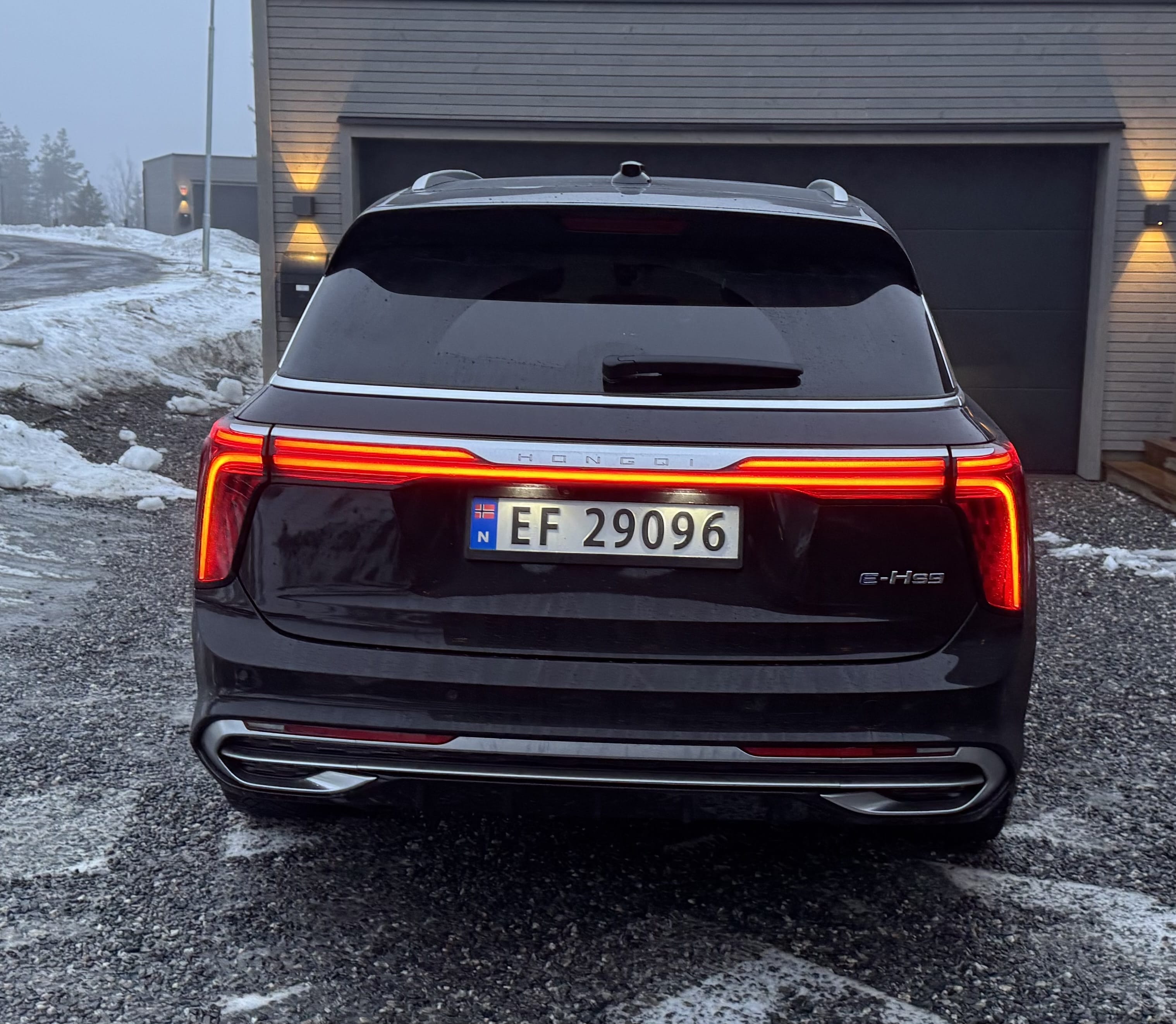 Hongqi E-HS9 with Air conditioning