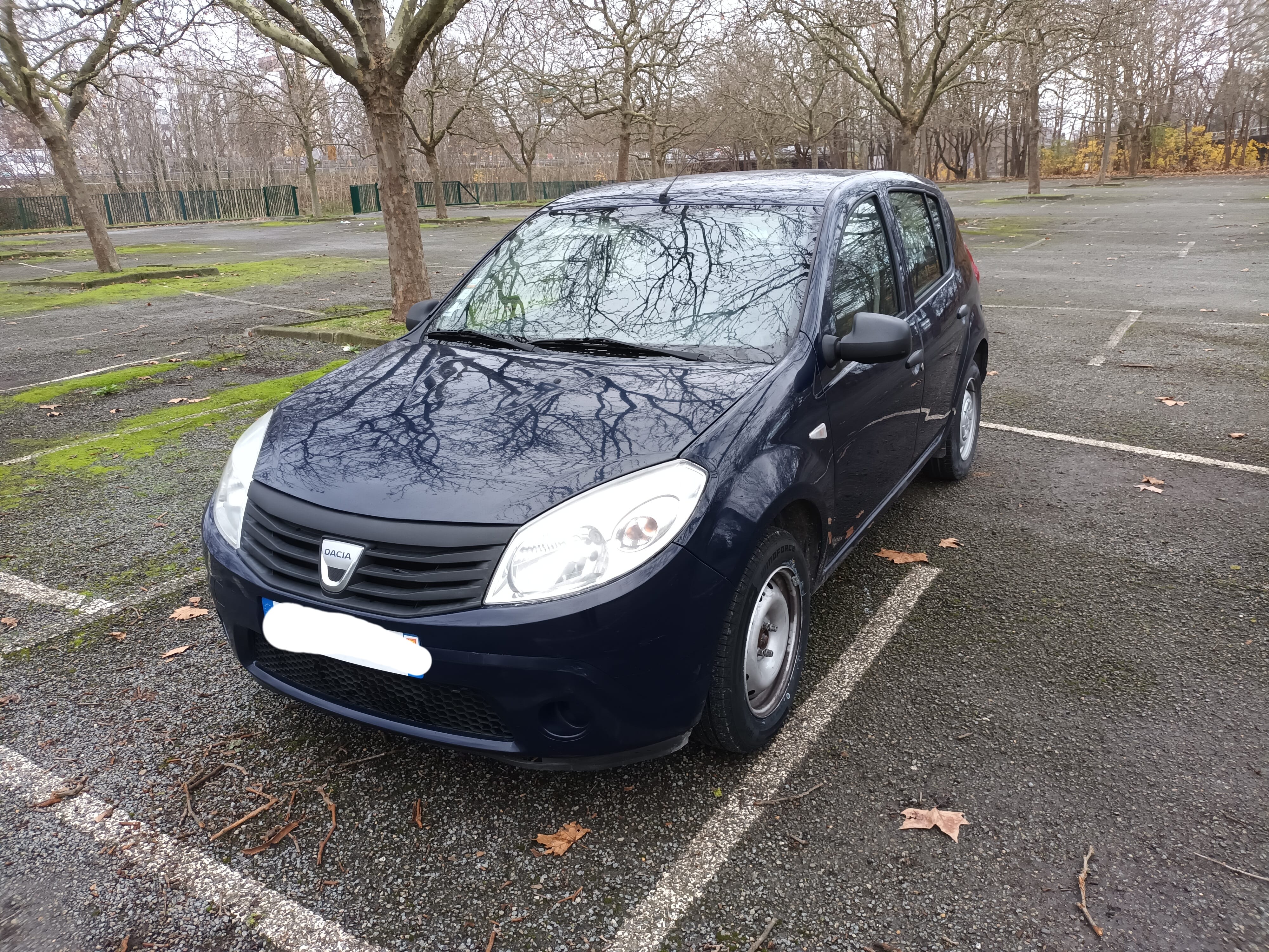 Dacia Sandero Super 95 ou gpl, 2010, GPL