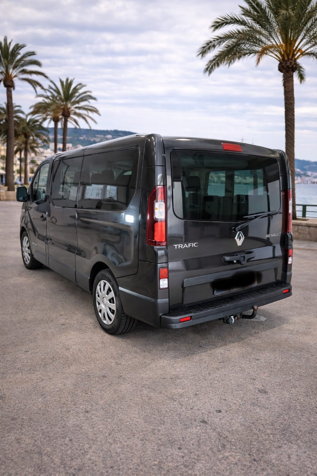 Renault Trafic with GPS