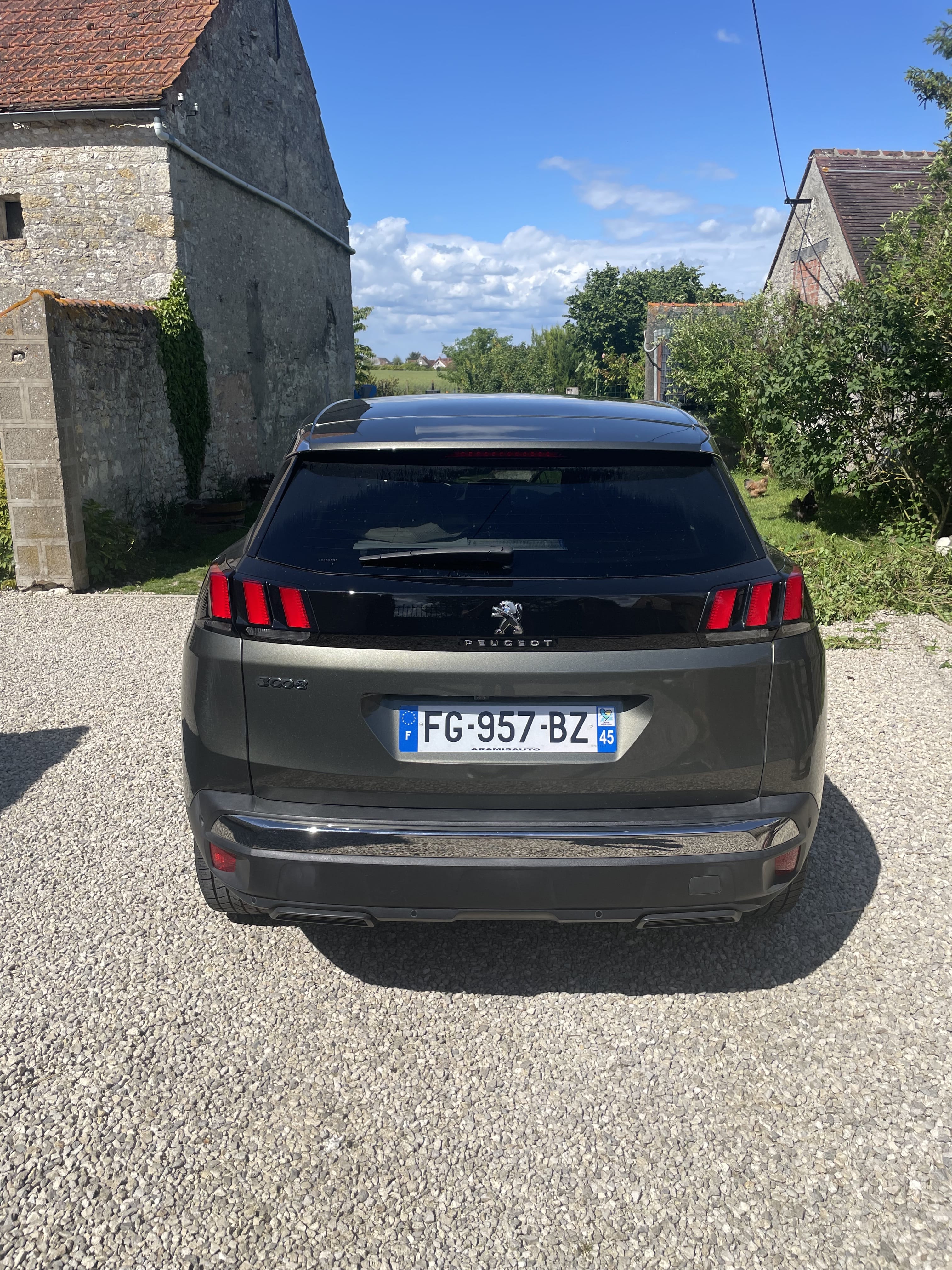 Peugeot 3008 avec Régulateur de vitesse