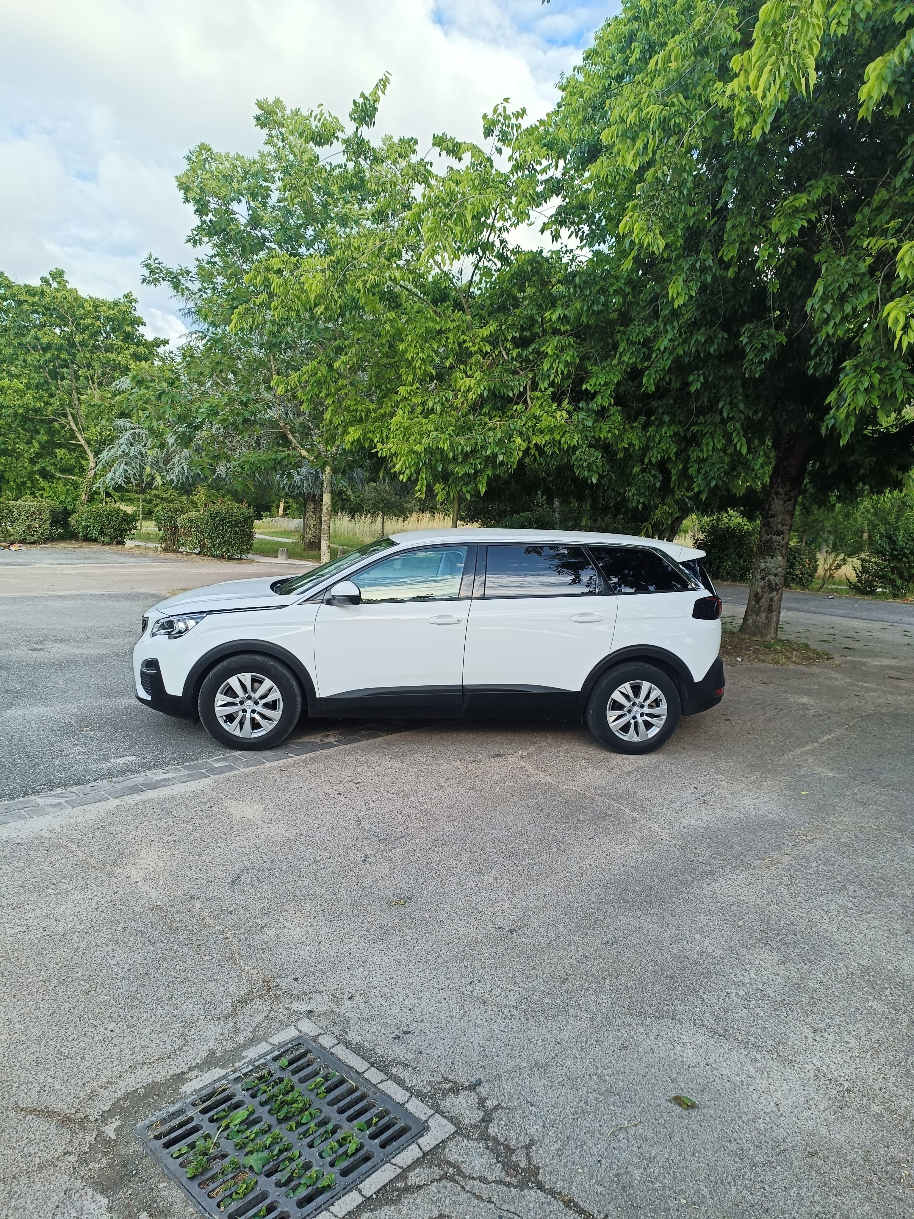 Peugeot 5008 avec Climatisation