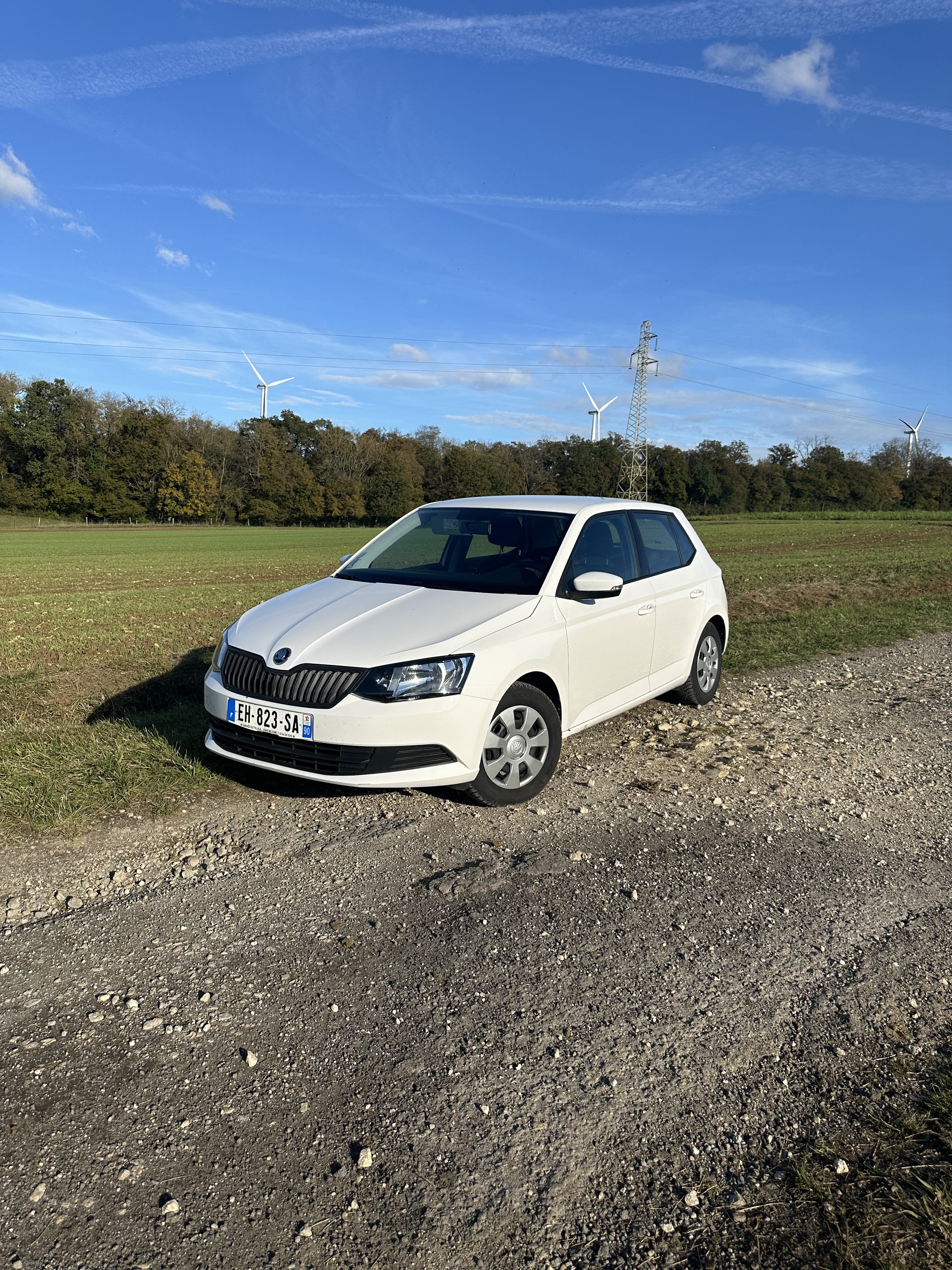 Skoda Fabia, 2016, Essence 95