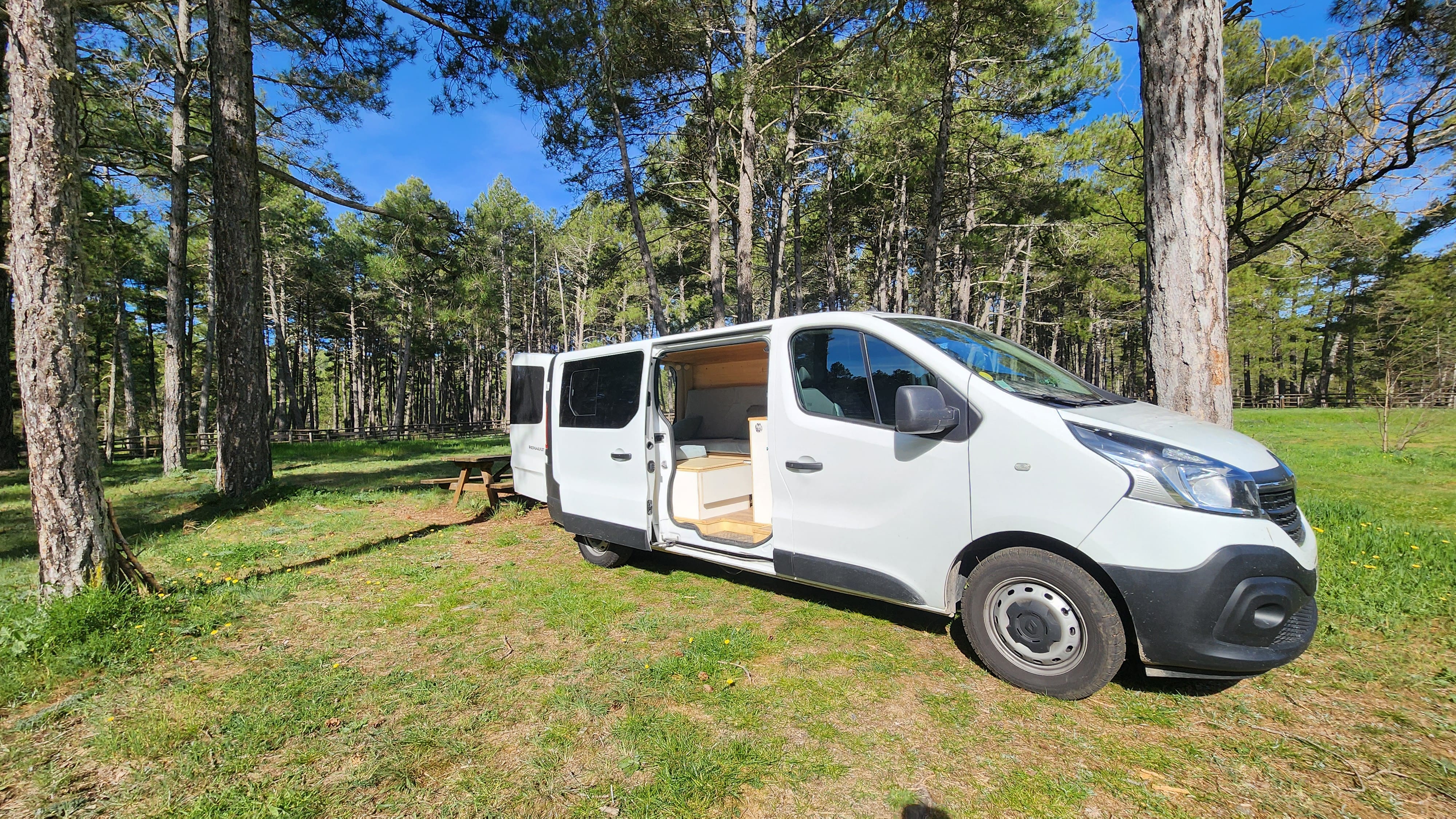 Renault Trafic, 2021, Diesel