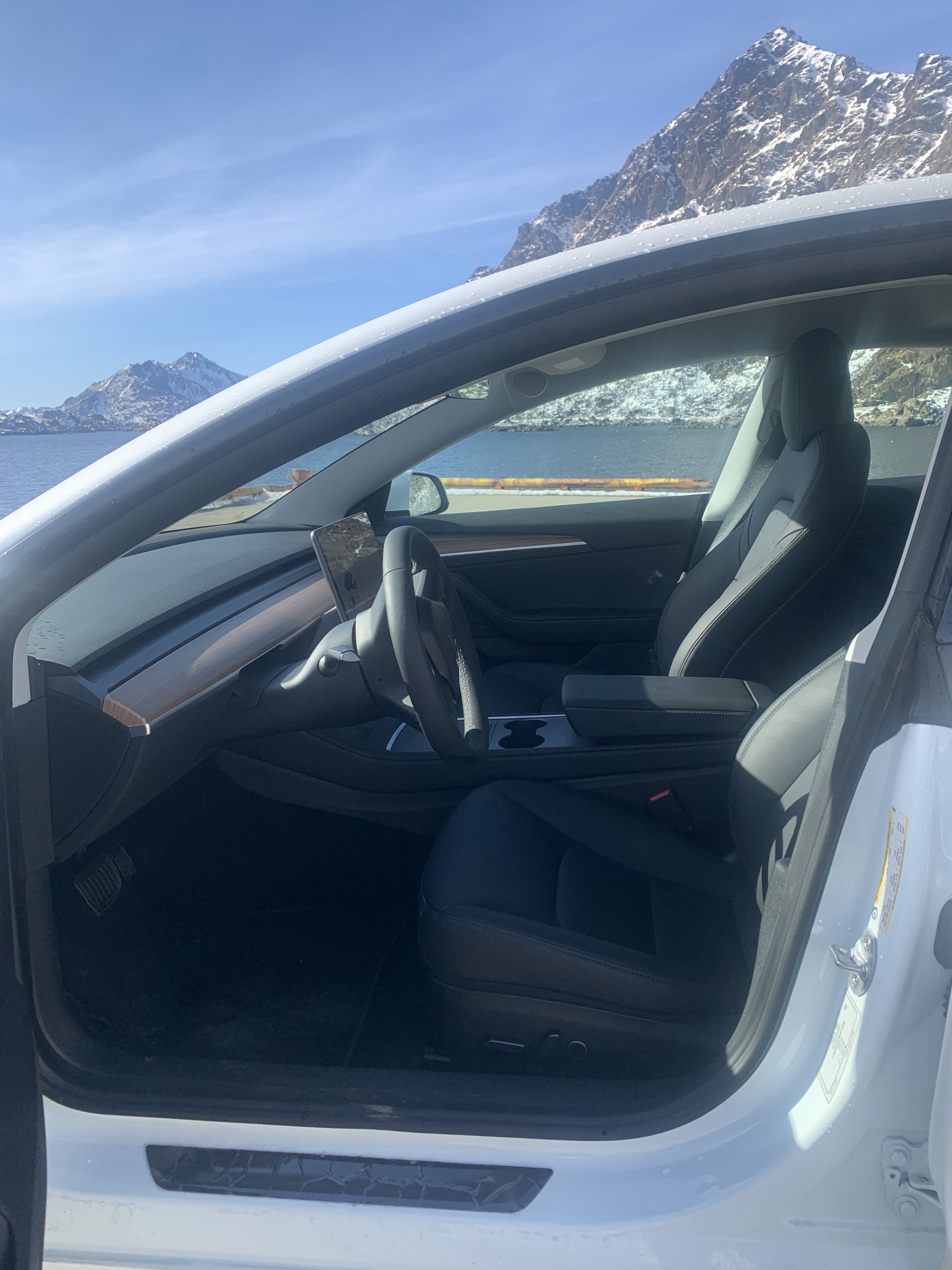 Tesla Model 3 med Lydinngang