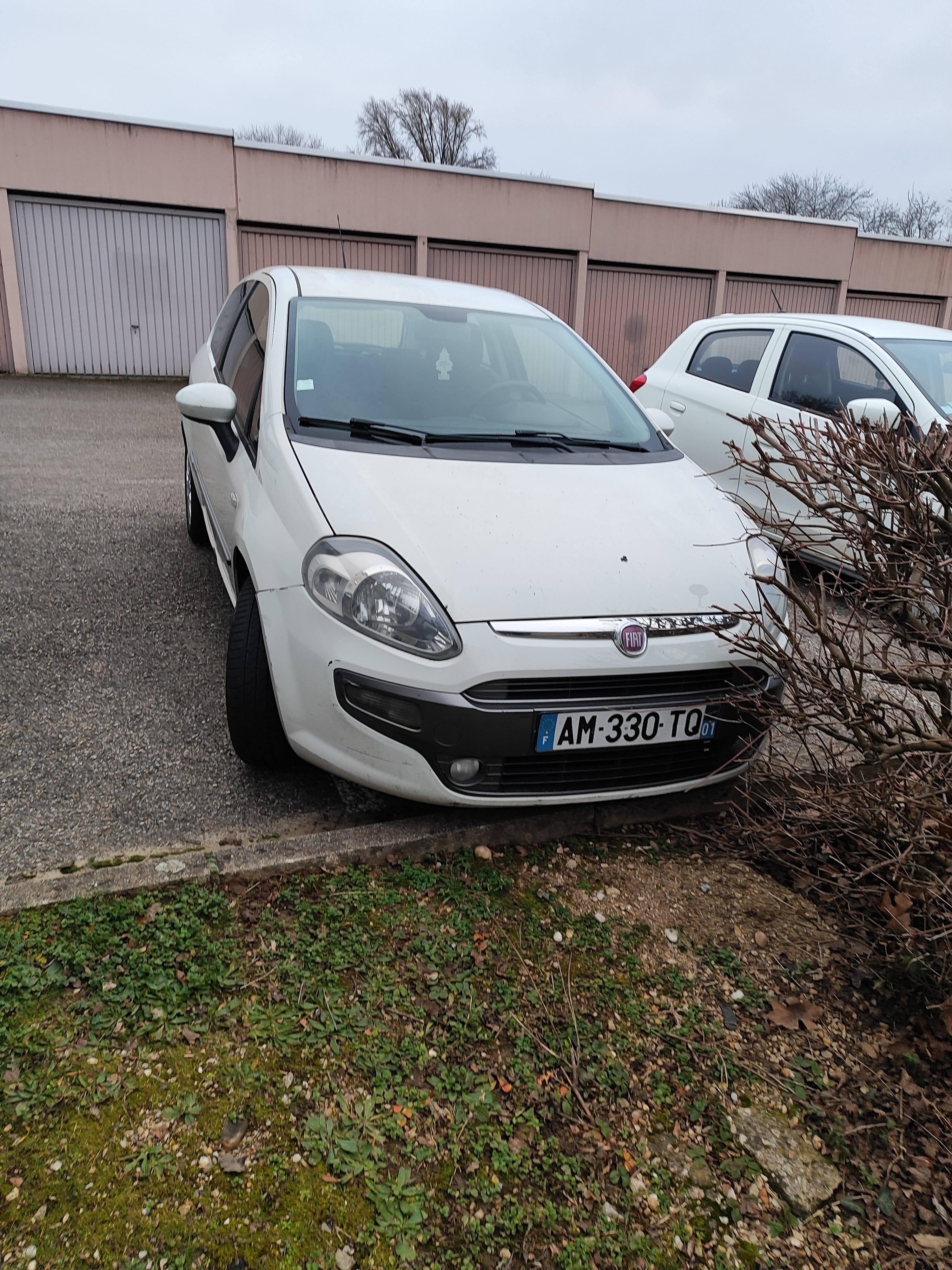 Fiat Punto Evo Dynamique, 2010, Essence 98