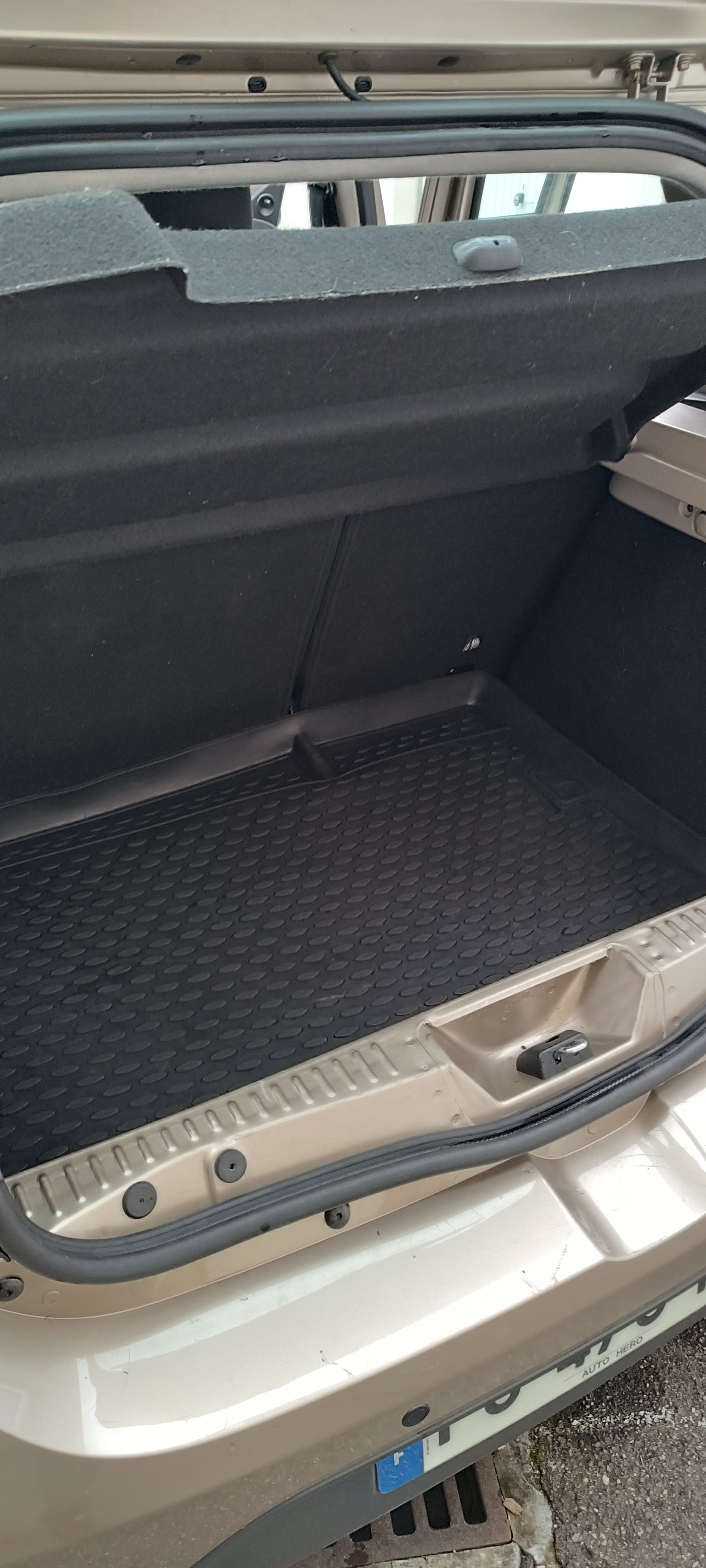 Dacia Sandero Stepway éthanol / E85 avec Autoradio