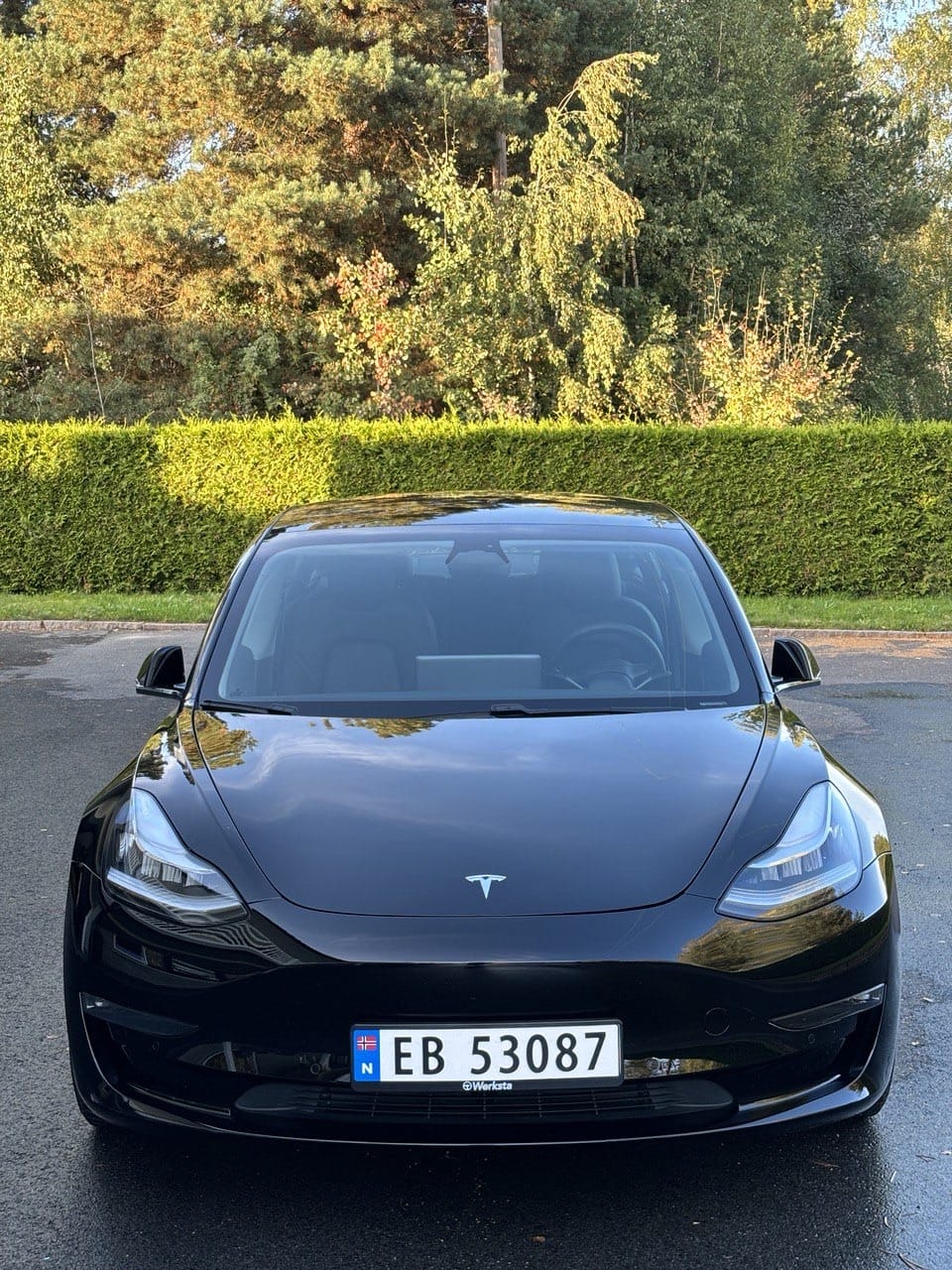 Tesla Model 3 Long Range med Cruisekontroll