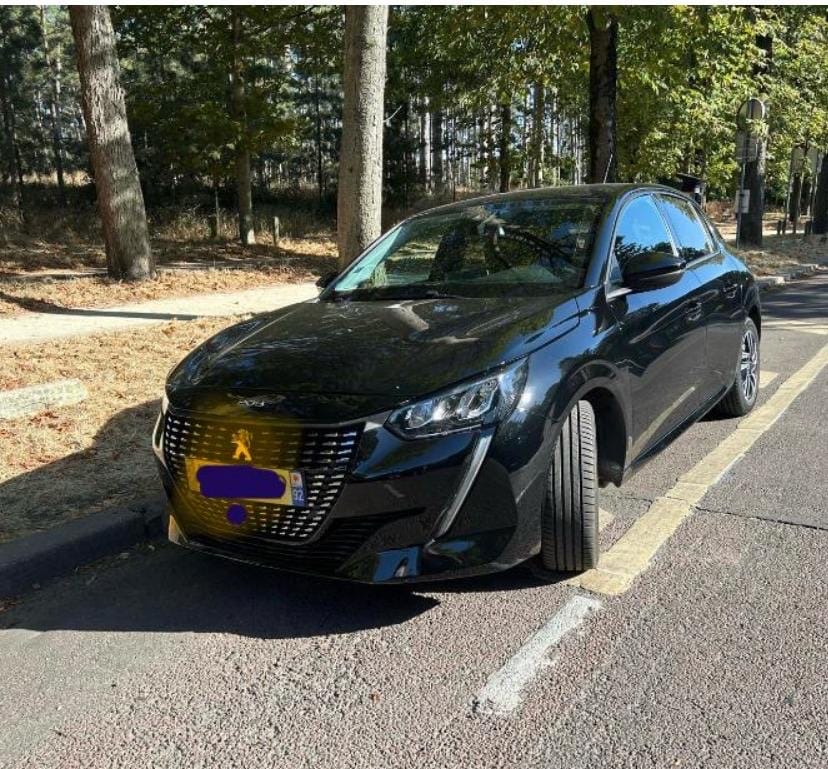 Peugeot 208 with Audio / iPod input