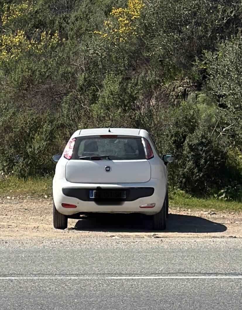 Fiat Punto Evo avec Autoradio