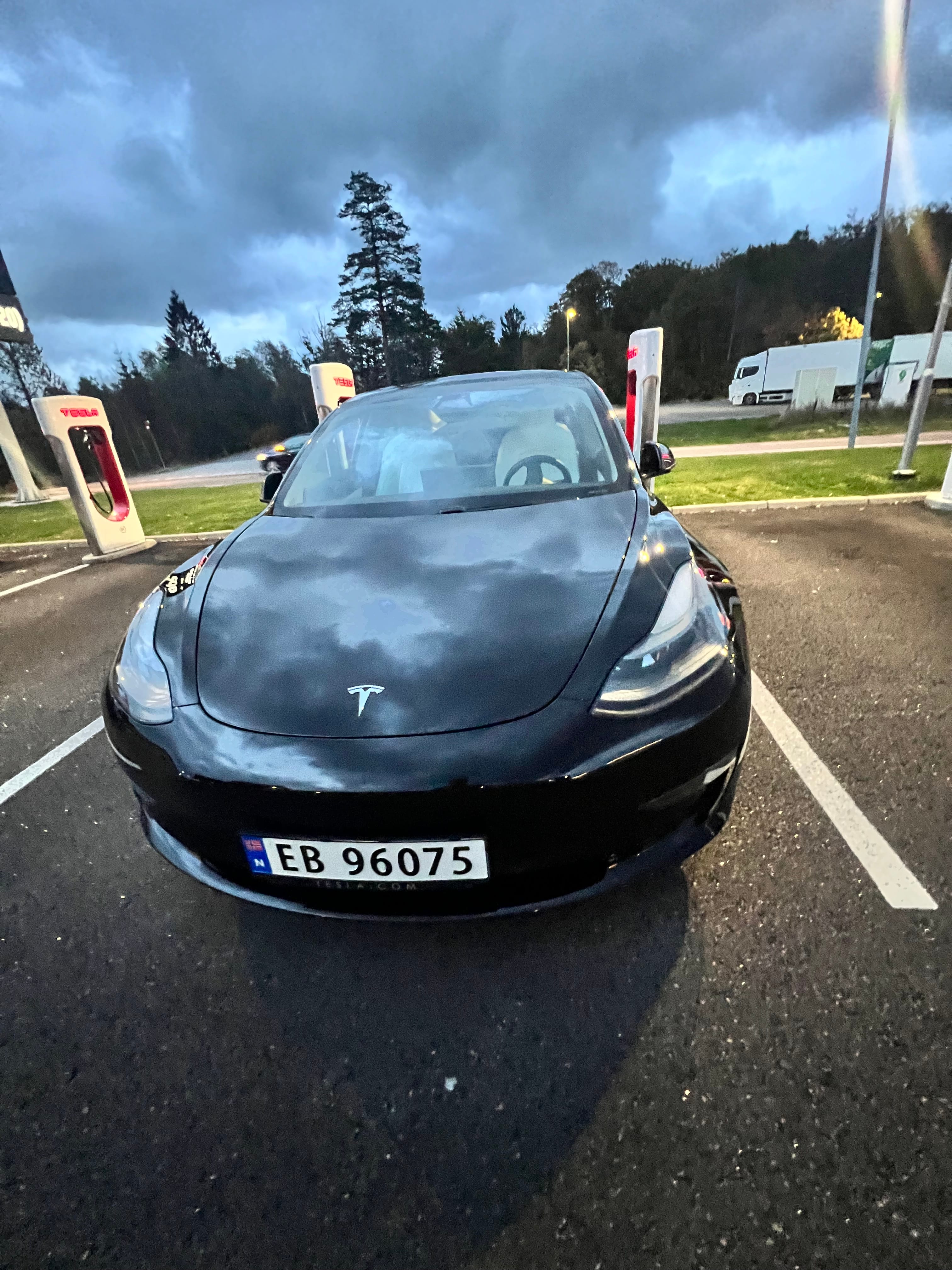 Tesla Model 3 Performance med Ryggekamera