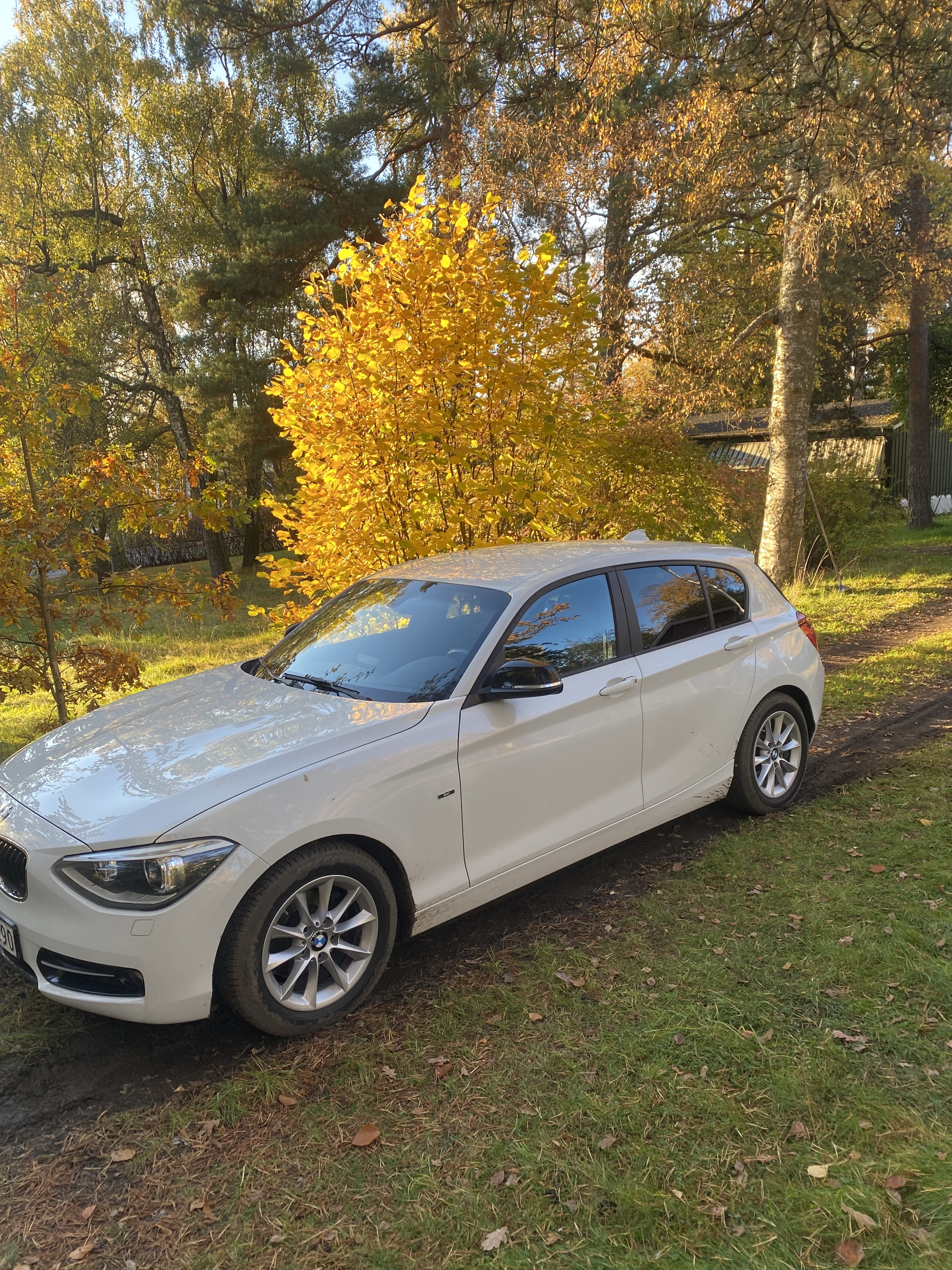 BMW 1-Serie M Sport, 2014, Diesel