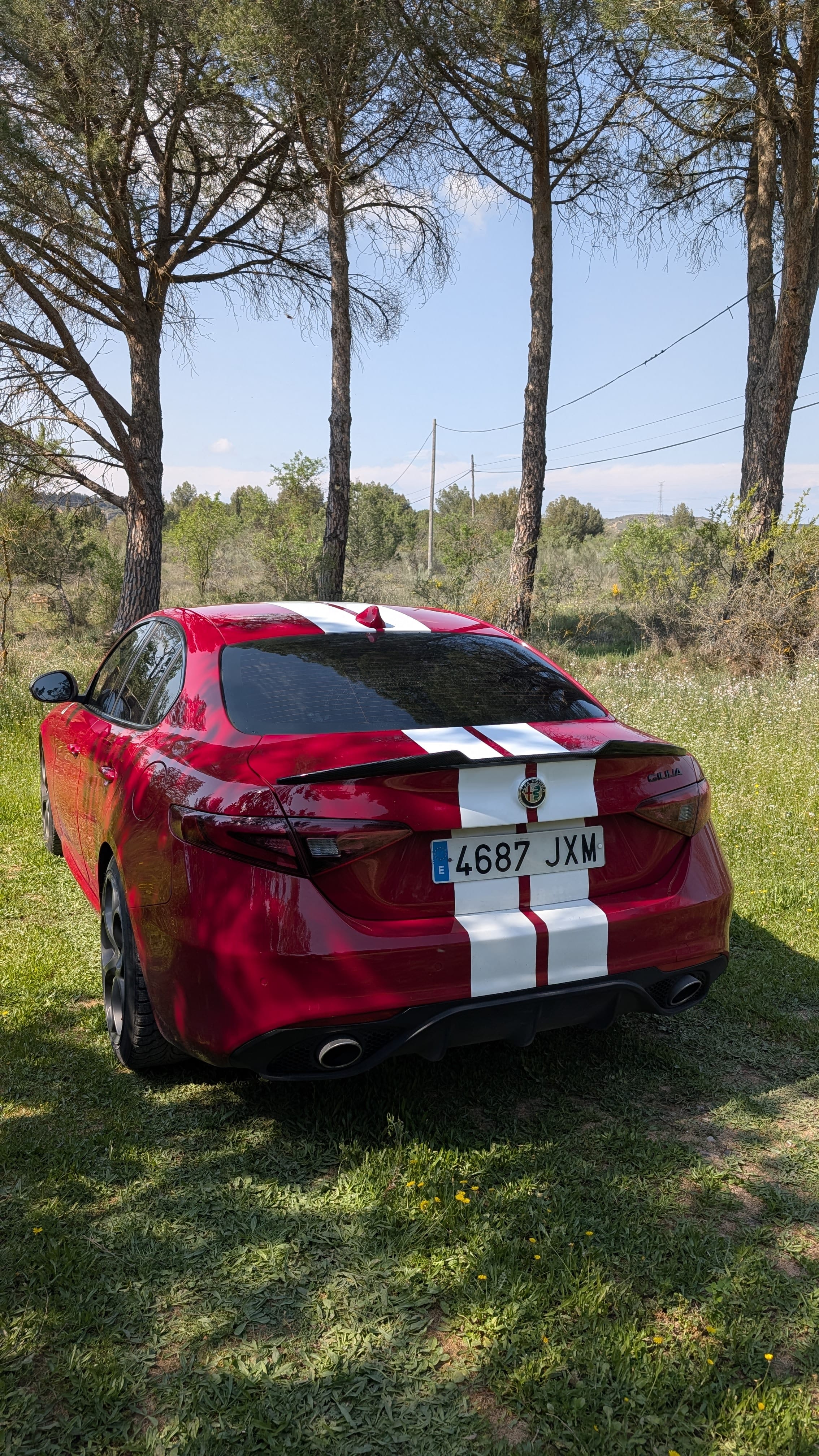 Alfa-Romeo Giulia 2.0 JTD con Neumáticos de invierno