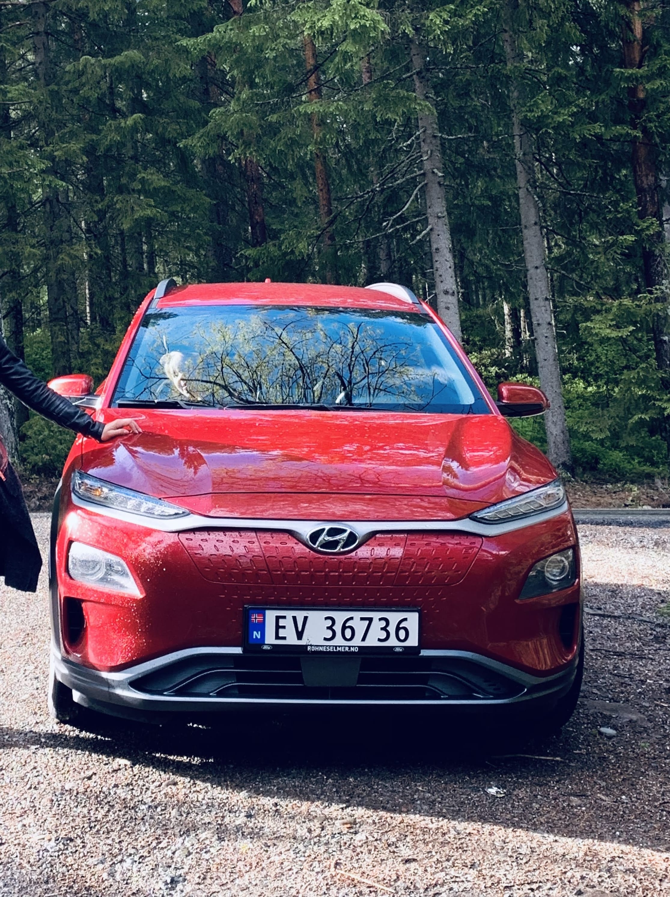 Hyundai Kona Electric, 2019, Elektrisk, automatisk