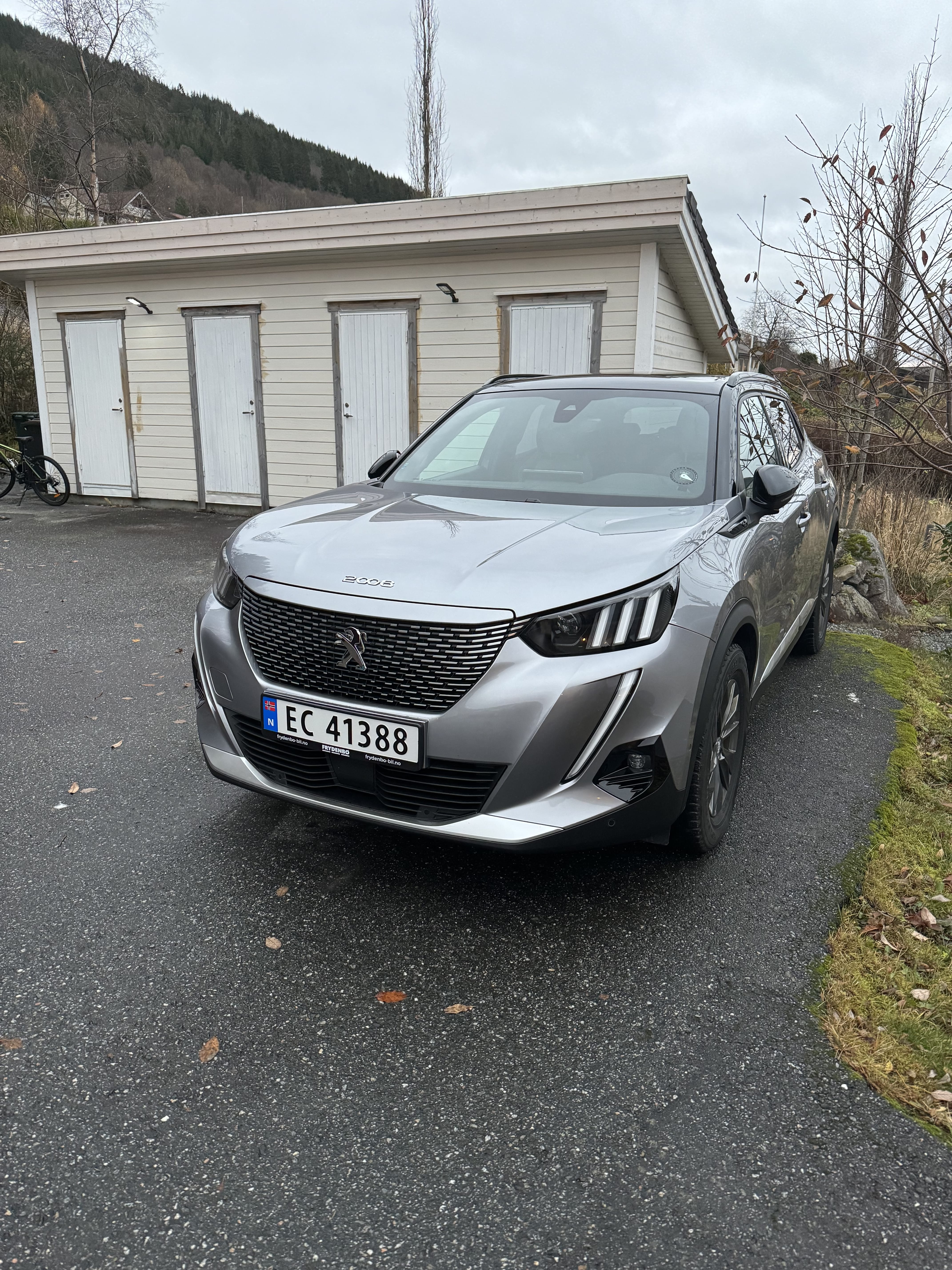 Peugeot e-2008, 2021, Elektrisk, automatisk