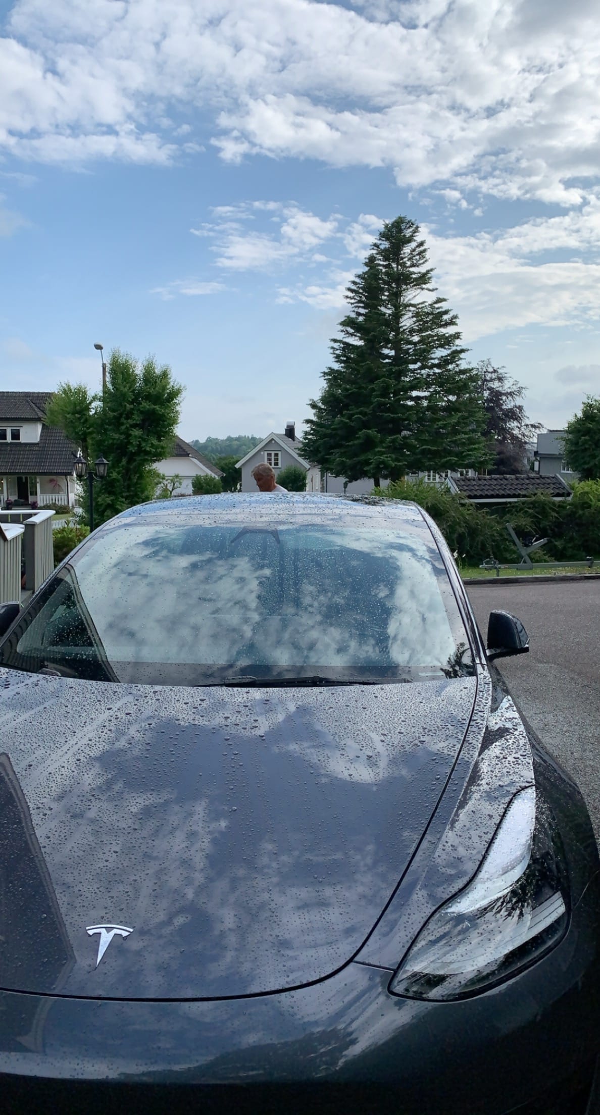 Tesla Model 3 Standard Range med Ryggekamera