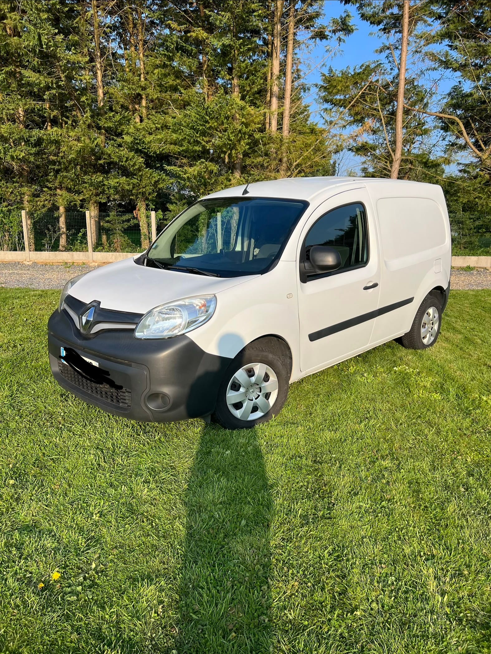 Renault Kangoo Express, 2020, Diesel