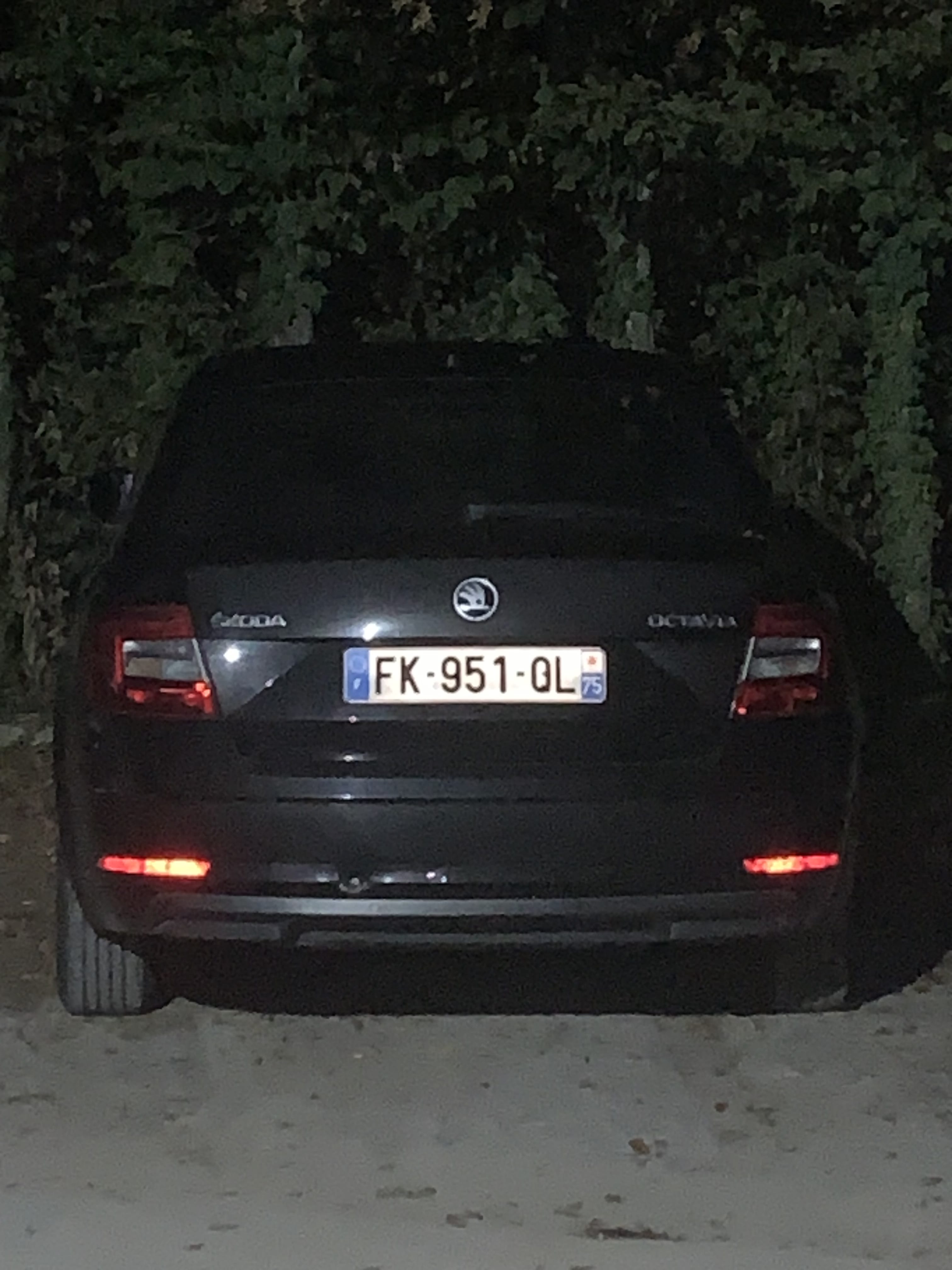 Skoda Octavia, 2019, Diesel, automatique