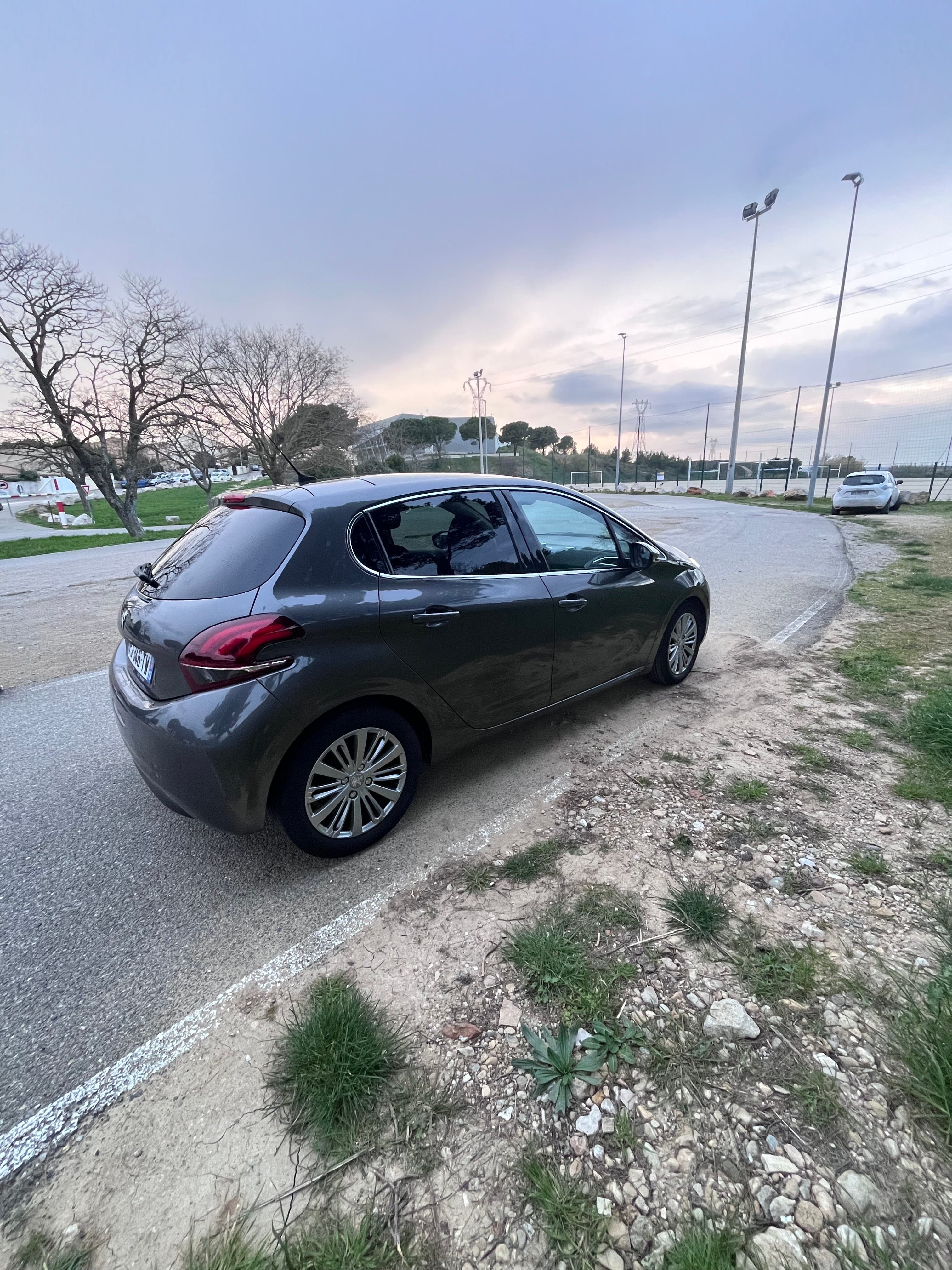 Peugeot 208 with Backup camera