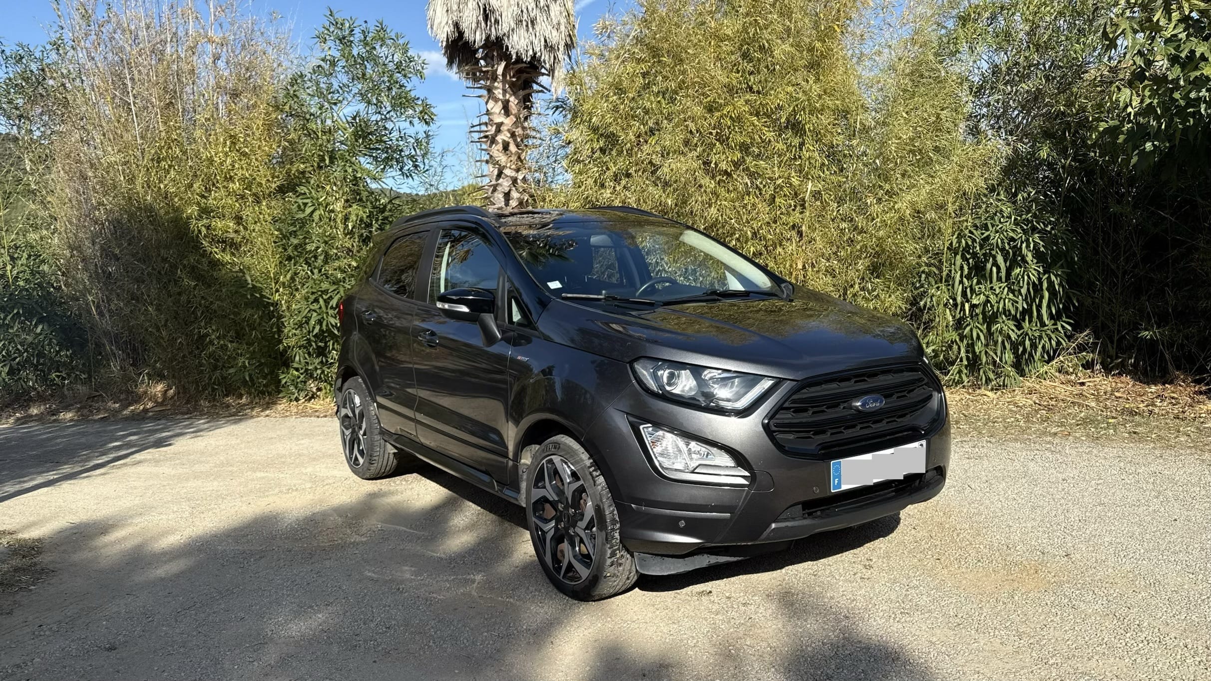 Ford EcoSport, 2018, Essence 95