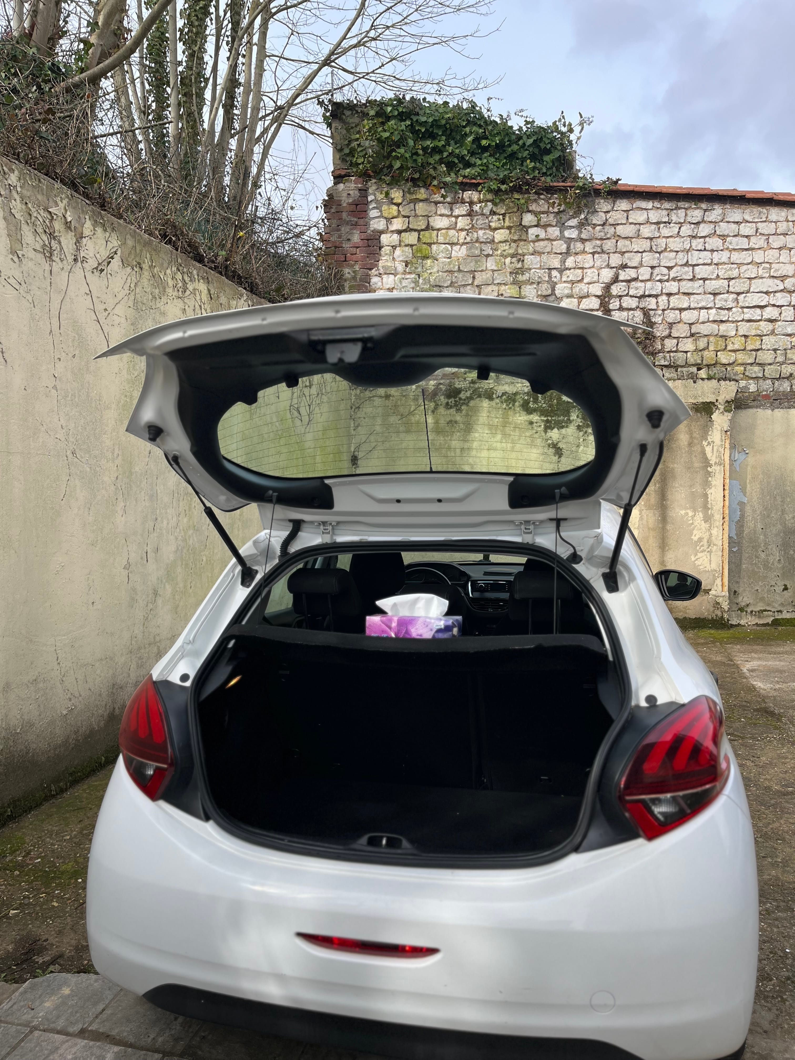 Peugeot 208 avec Chaines