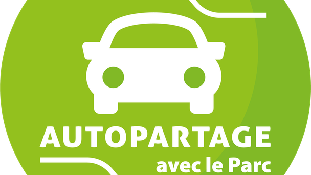 Renault ZOE avec Climatisation