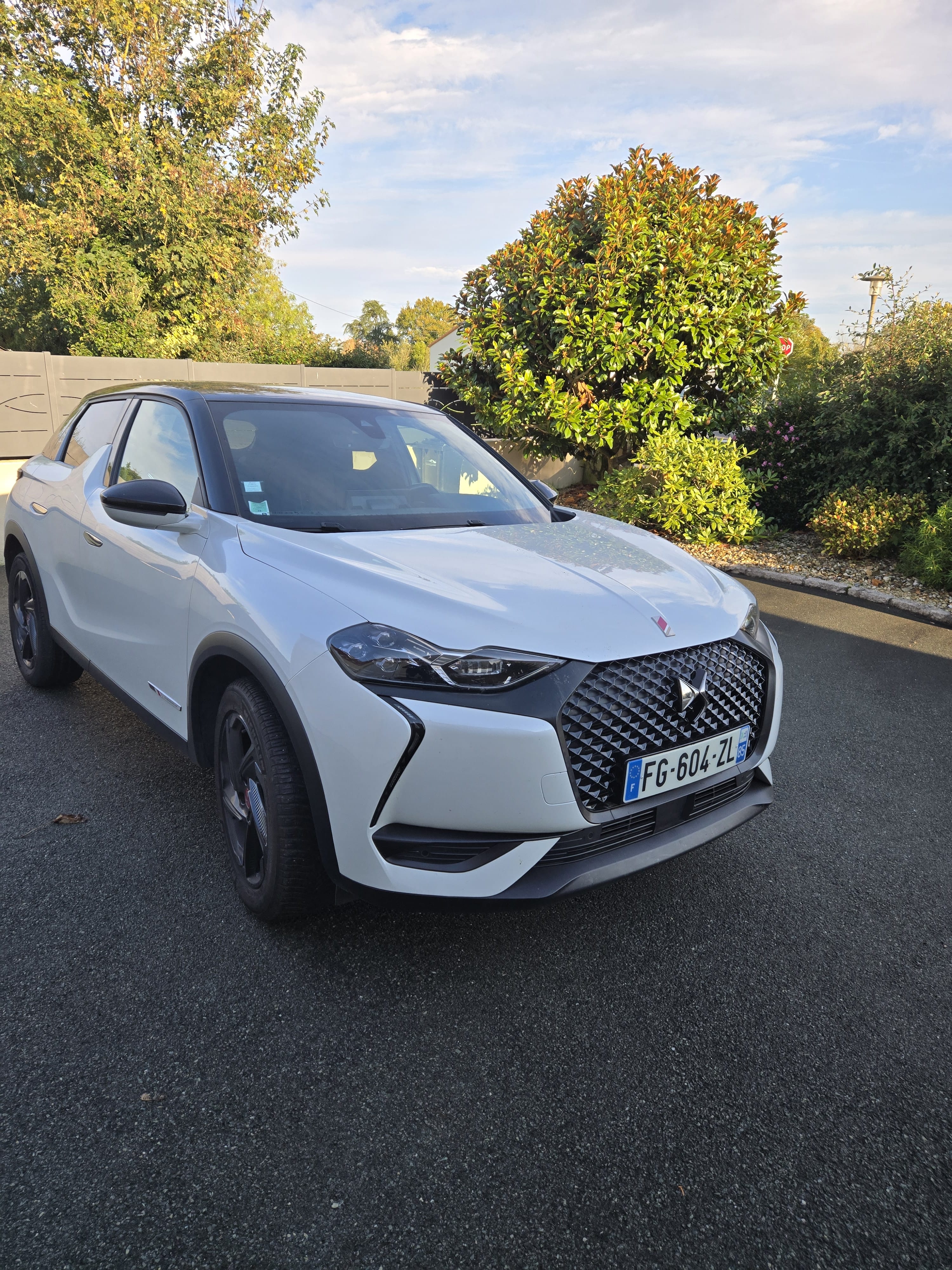 DS 3 CROSSBACK, 2019, Diesel