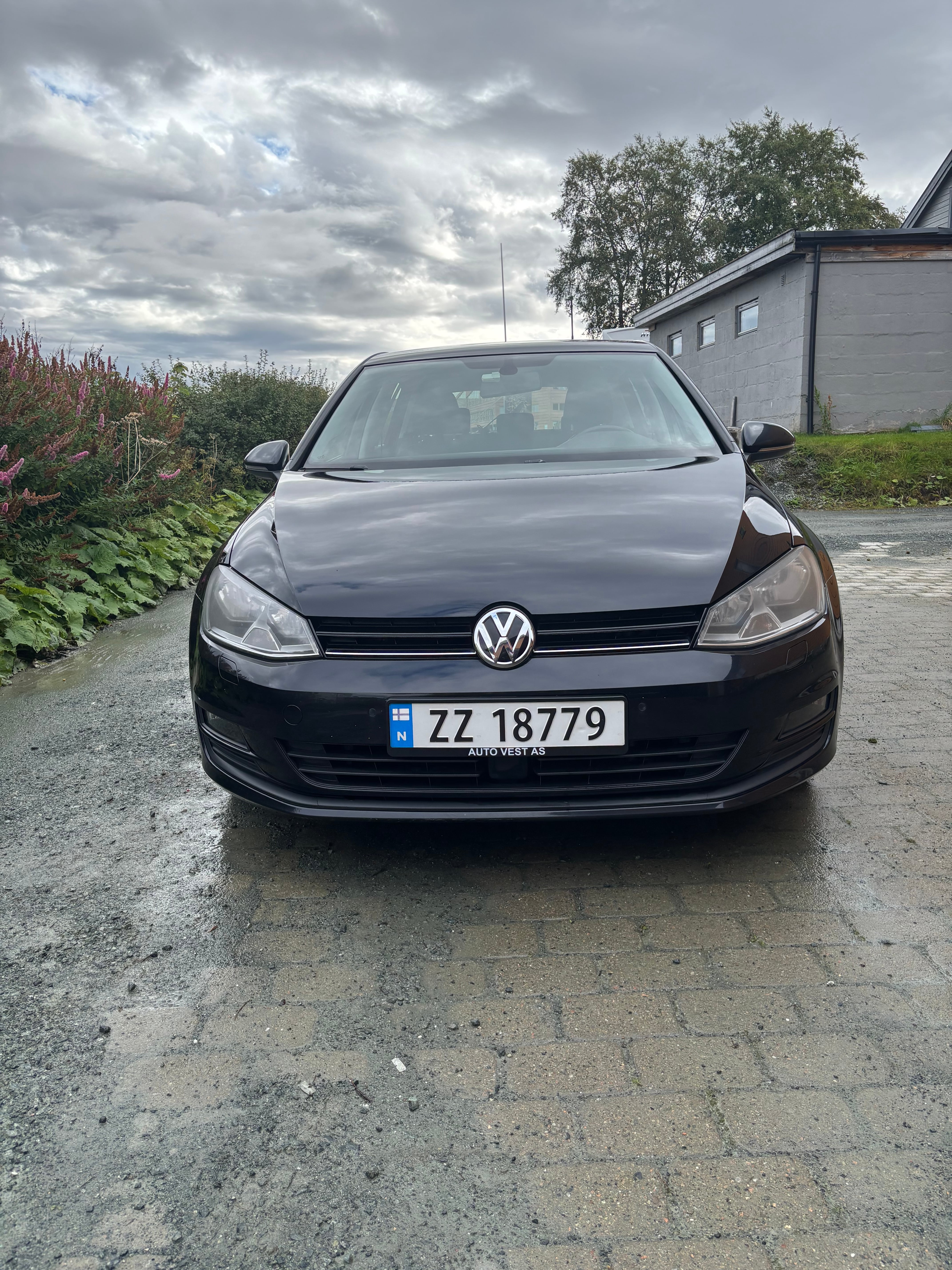 Volkswagen Golf 1.2, 2014, Blyfri 95, automatic