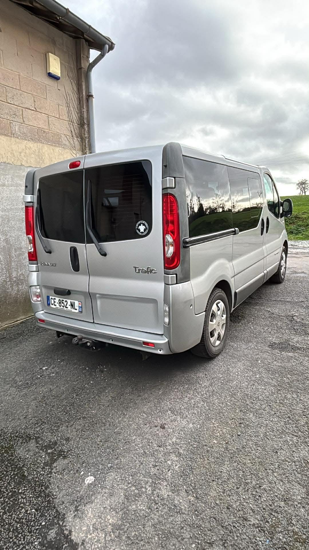 Renault Trafic Passenger 2.0, 2012, Diesel, 9 places et plus