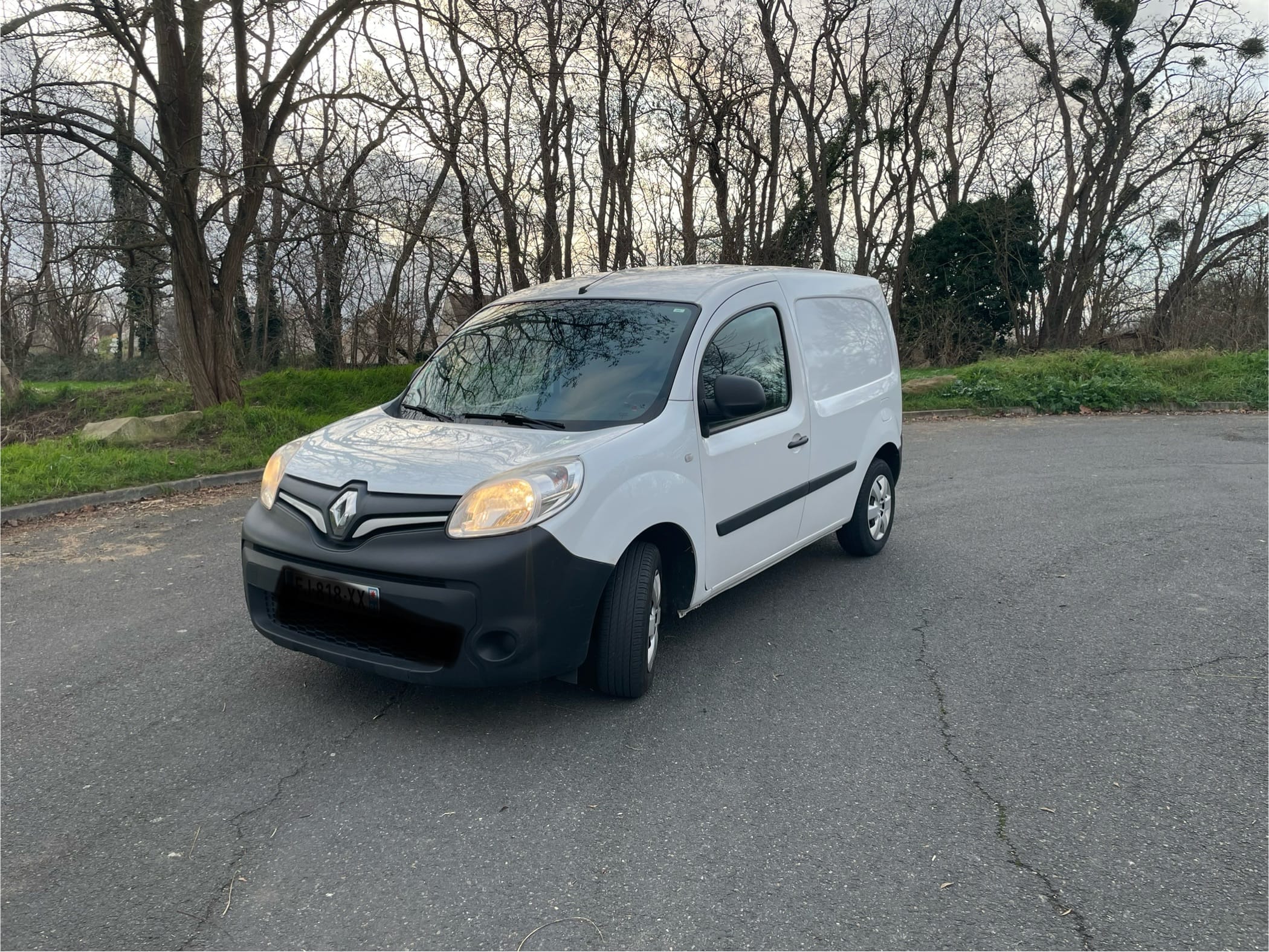 Renault Kangoo Fourgon Dci, 2019, Diesel