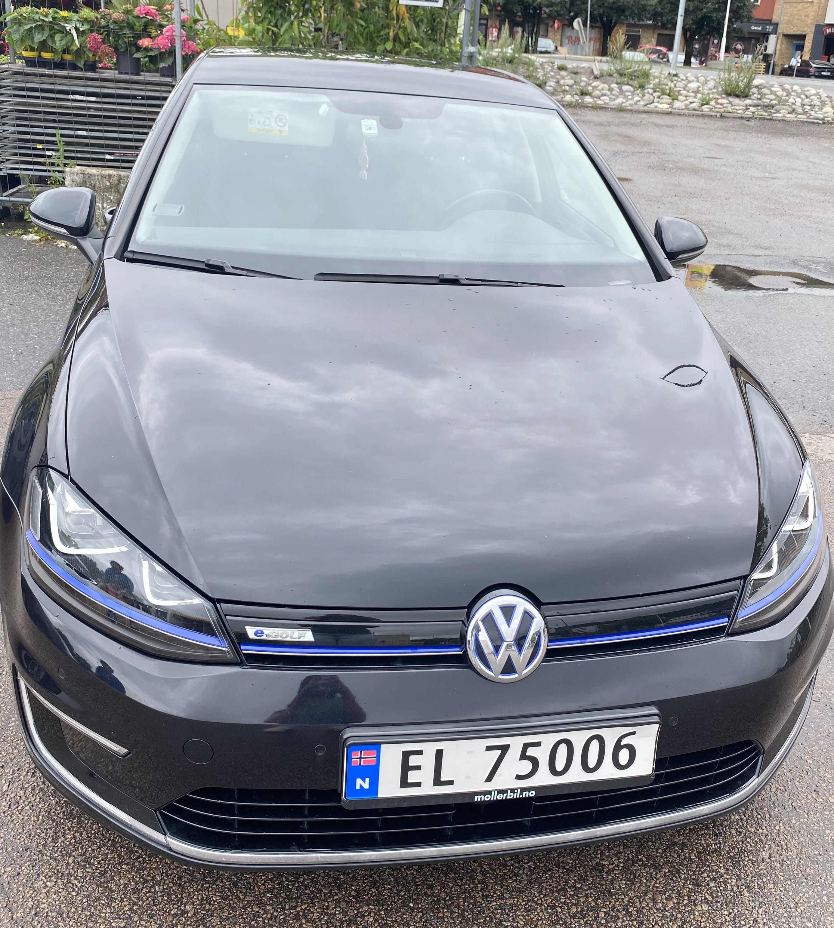 Volkswagen Golf med Cruisekontroll