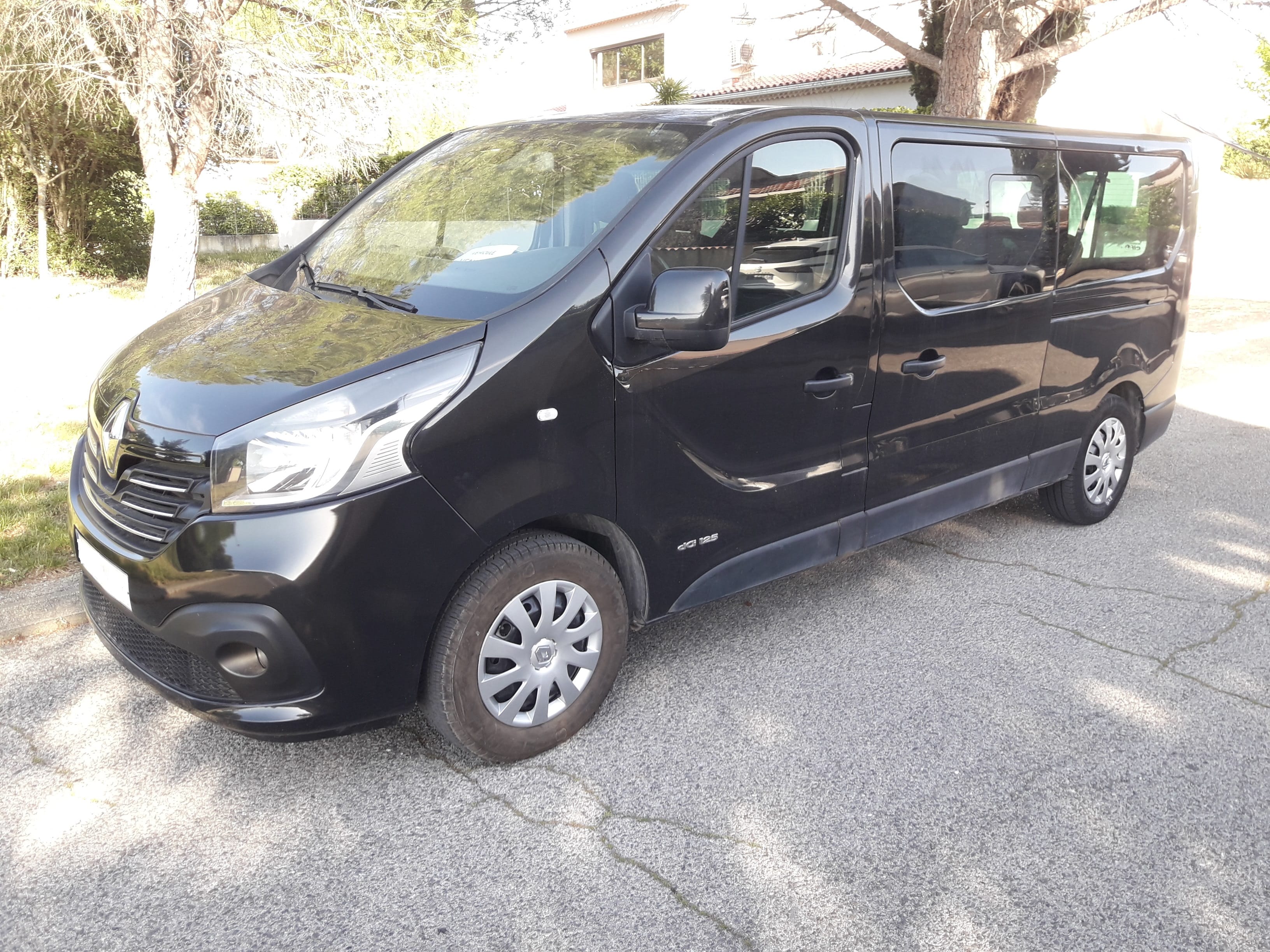 Renault Trafic Passenger 9 Places, 2017, Diesel, 9 places et plus