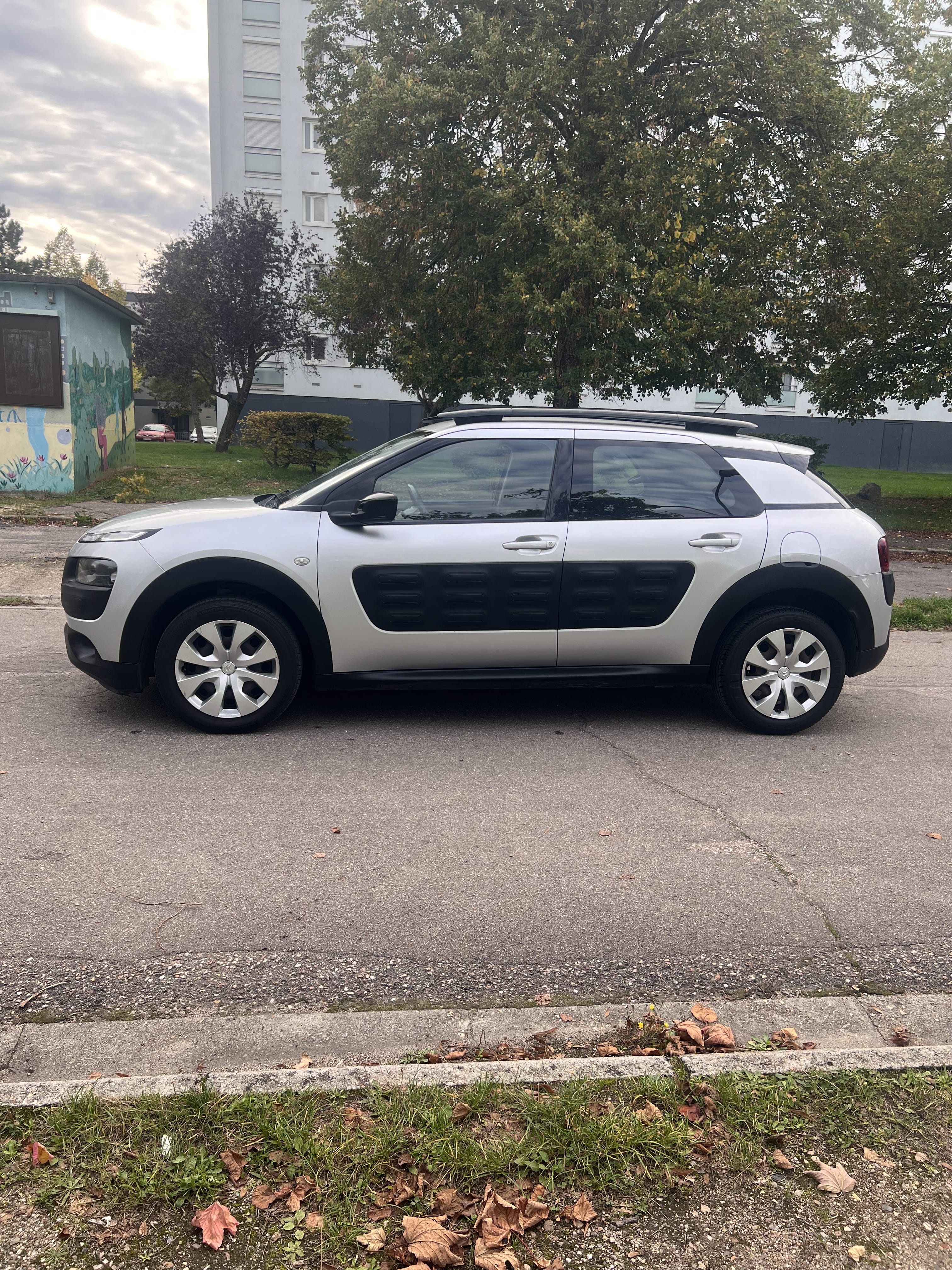 Citroen C4 Cactus avec Climatisation