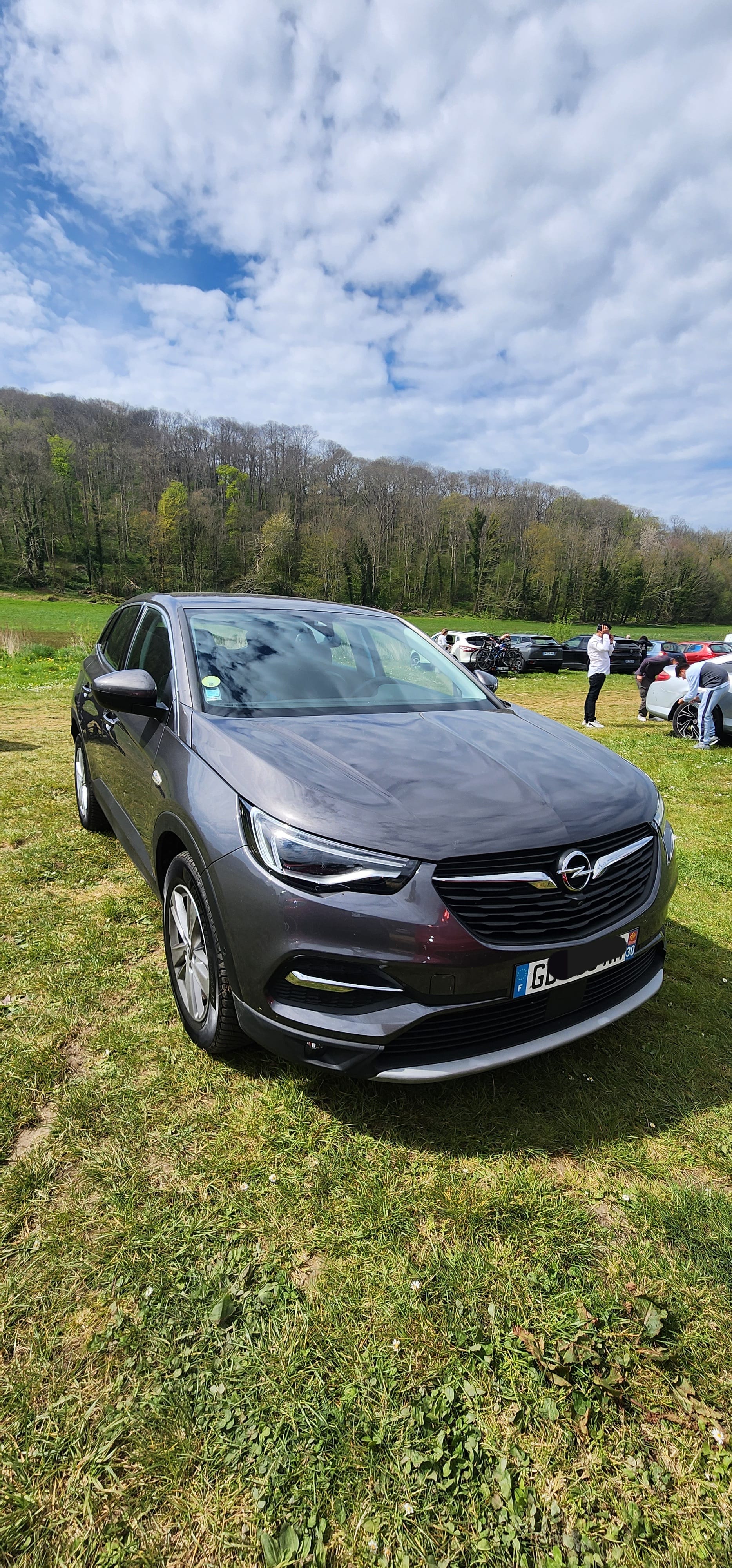 Opel Grandland X, 2021, Diesel, automatique