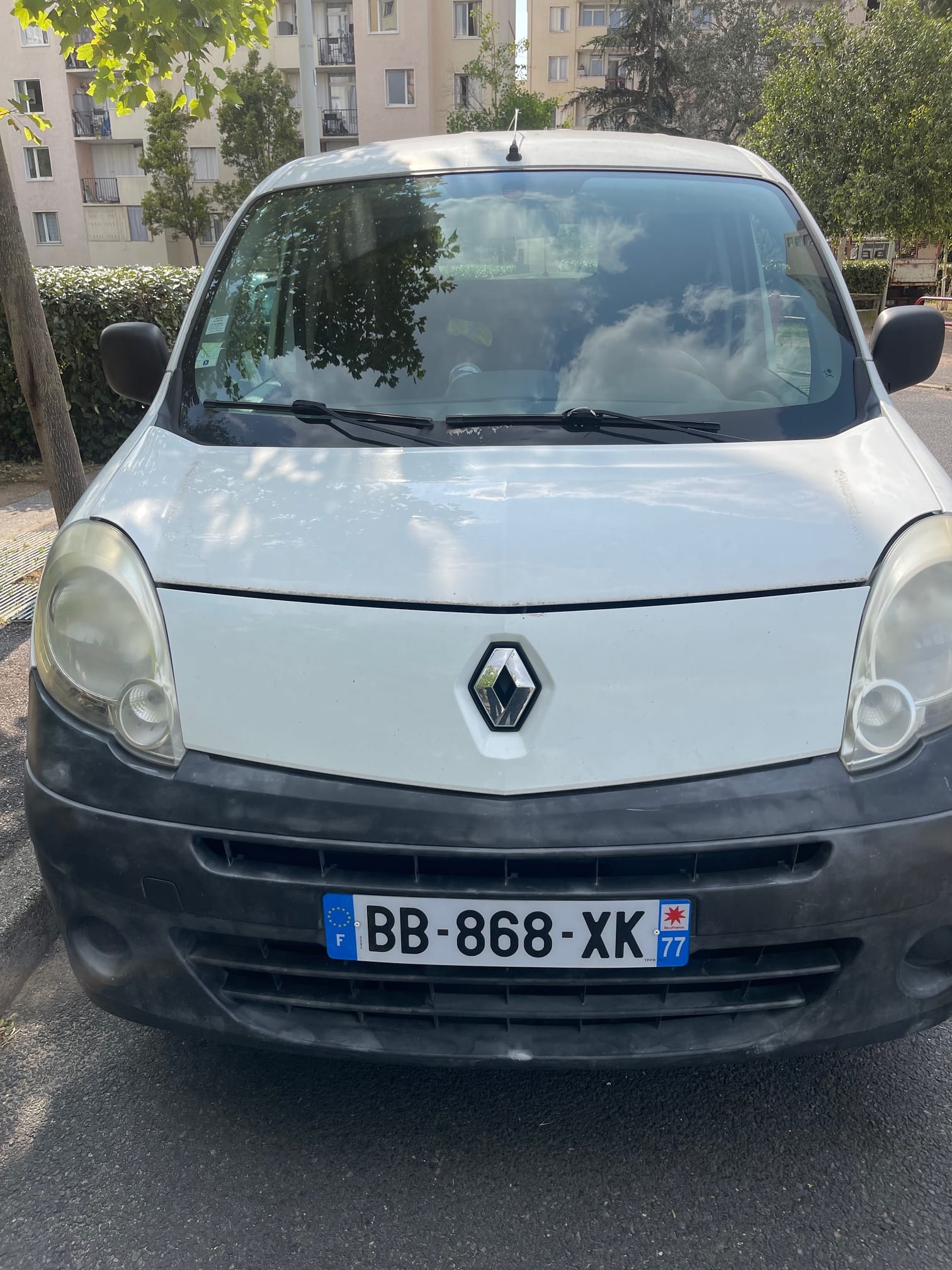 Renault Kangoo Express, 2010, Diesel