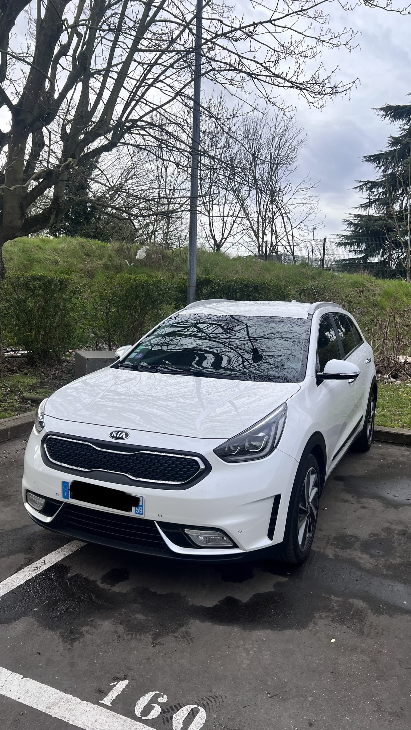 Kia Niro Hybride, 2019, Essence 98 / Électrique (hybride), automatique