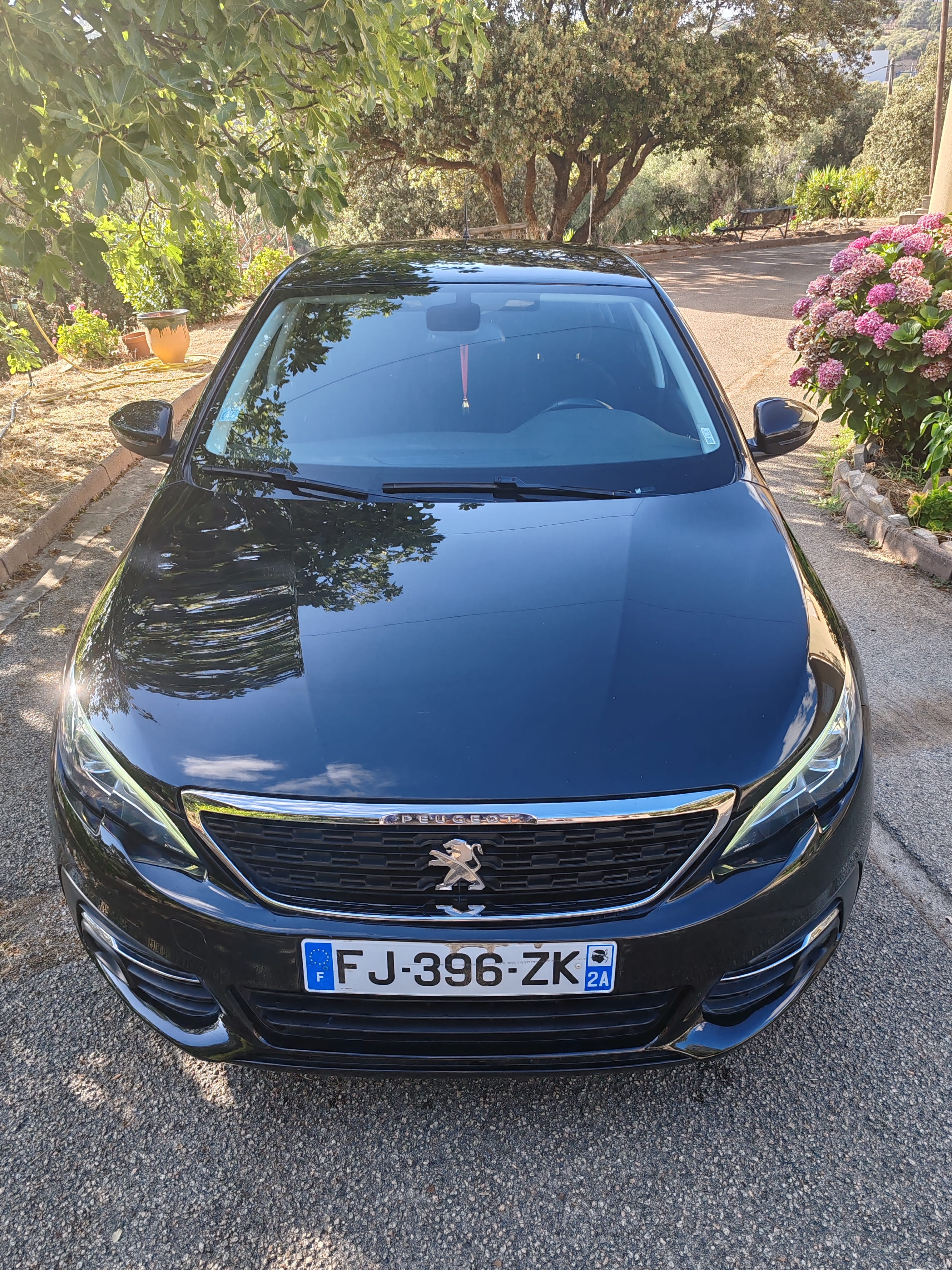 Peugeot 308 avec Entrée audio / iPod
