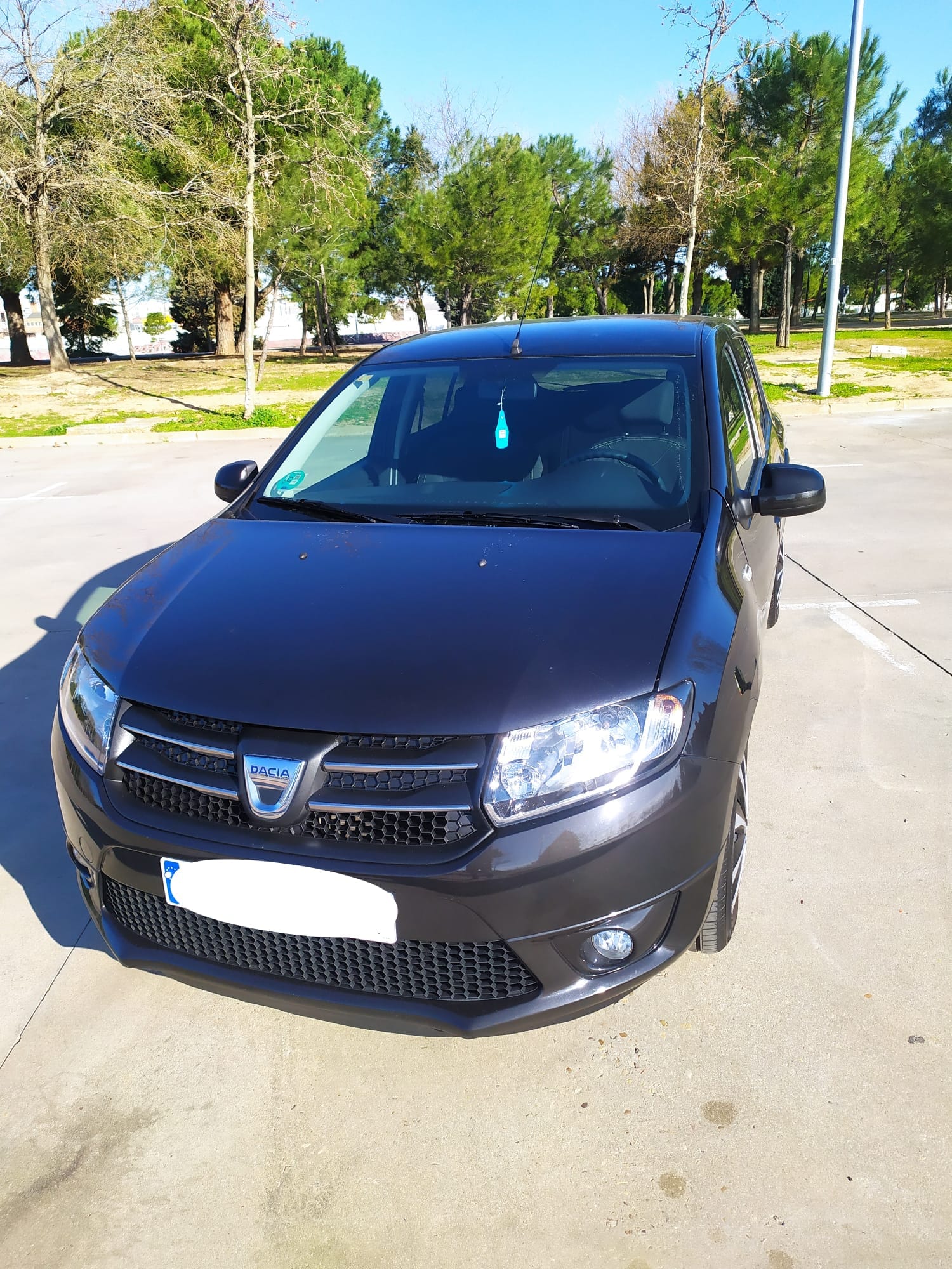 Dacia Sandero, 2013, Gasolina 95