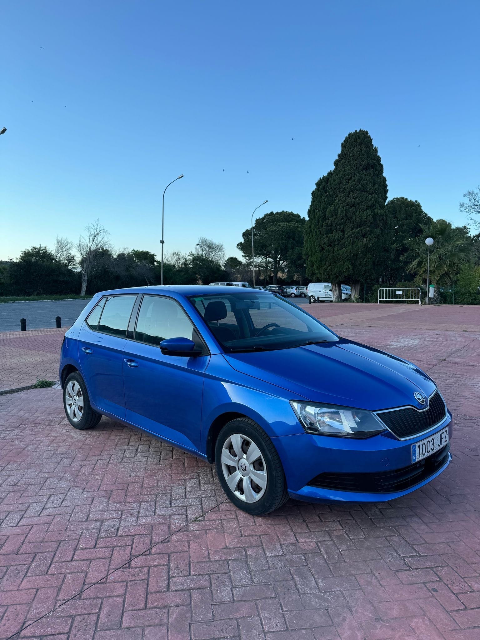 Skoda Fabia, 2015, Gasolina 95
