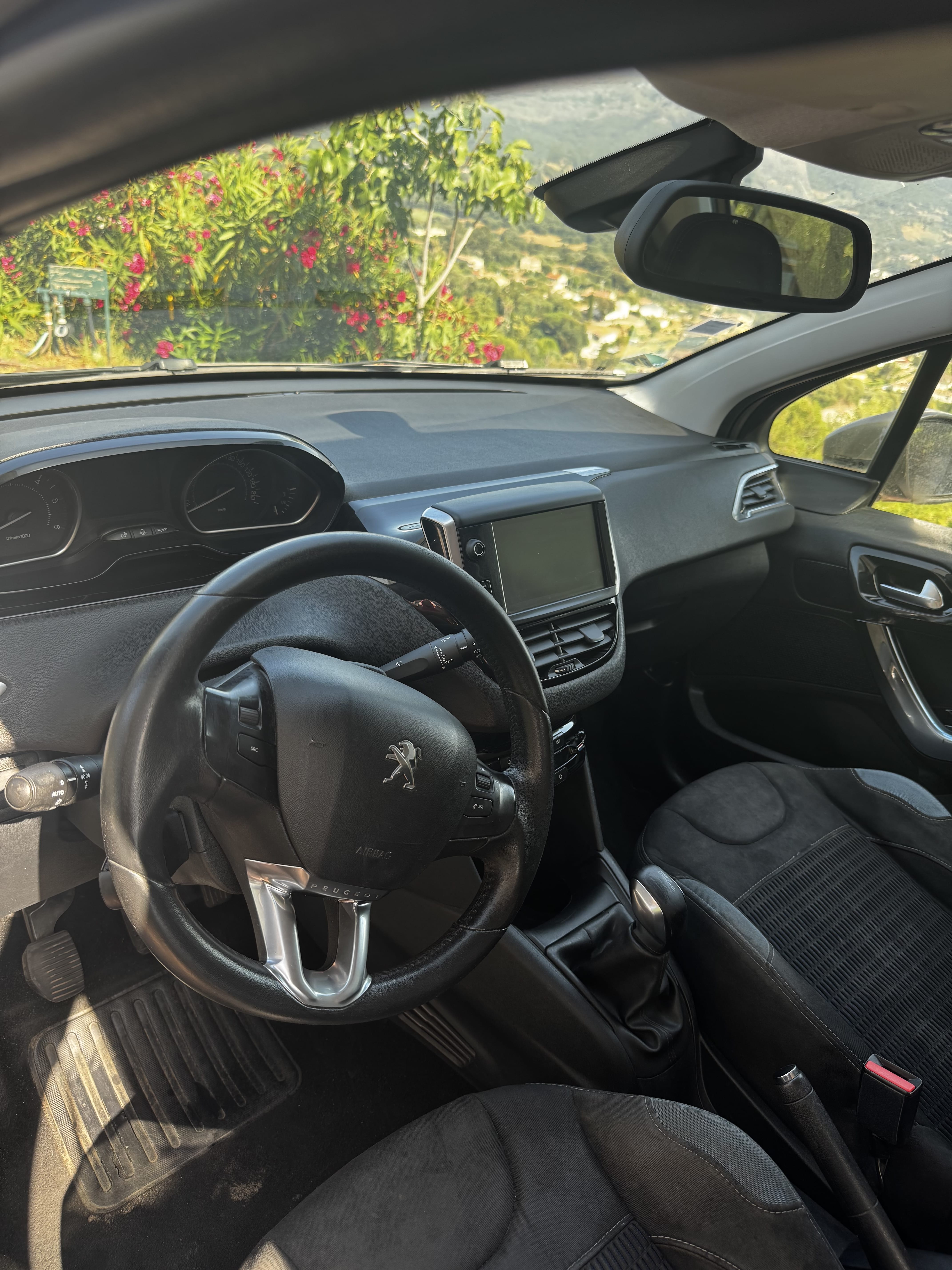 Peugeot 208 with Bluetooth audio