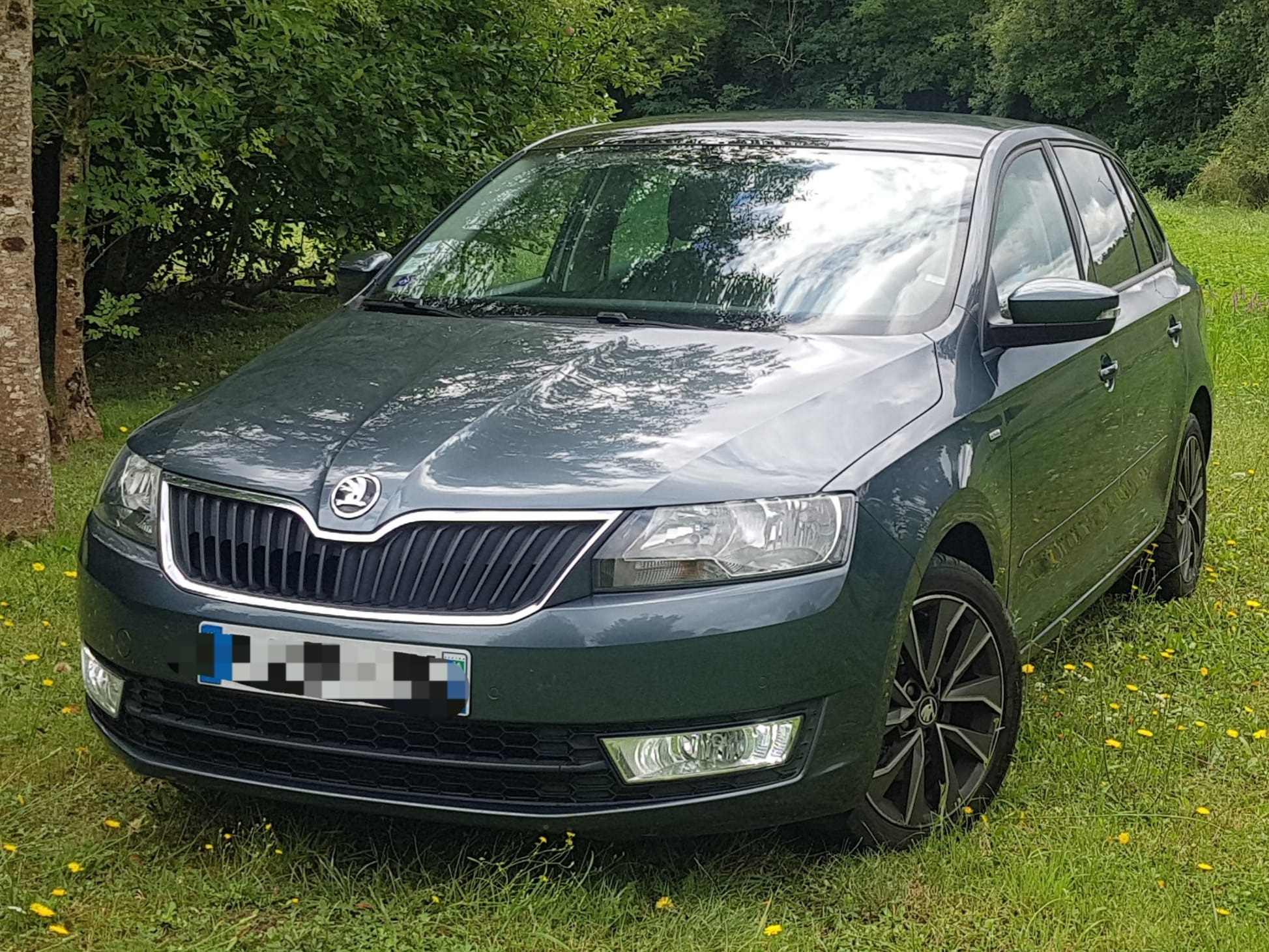Skoda Rapid 1.2 L 110 CV Drive Greentech, 2017, Essence 95