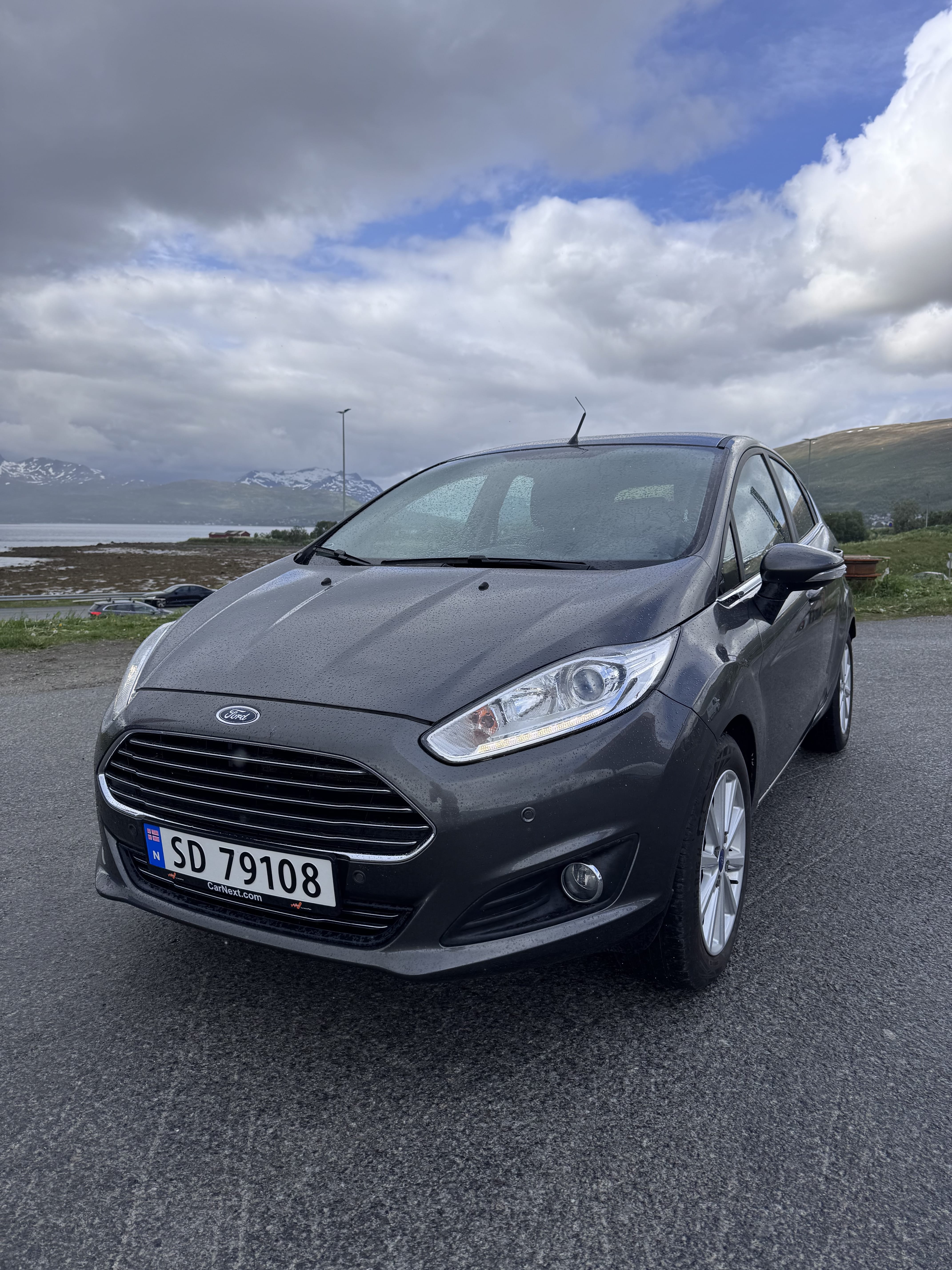 Ford Fiesta, 2016, Blyfri 95