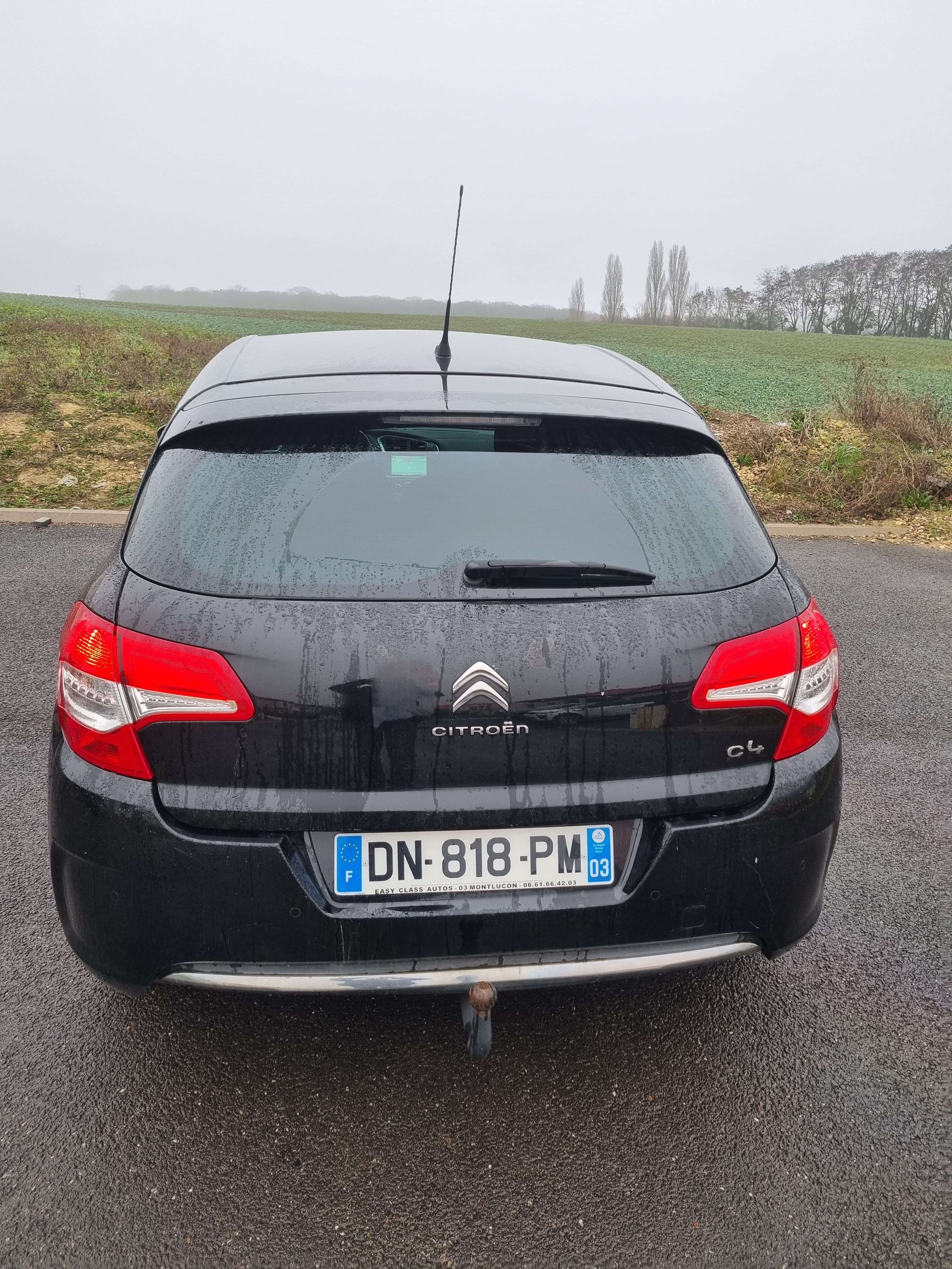 Citroen C4 avec Entrée audio / iPod