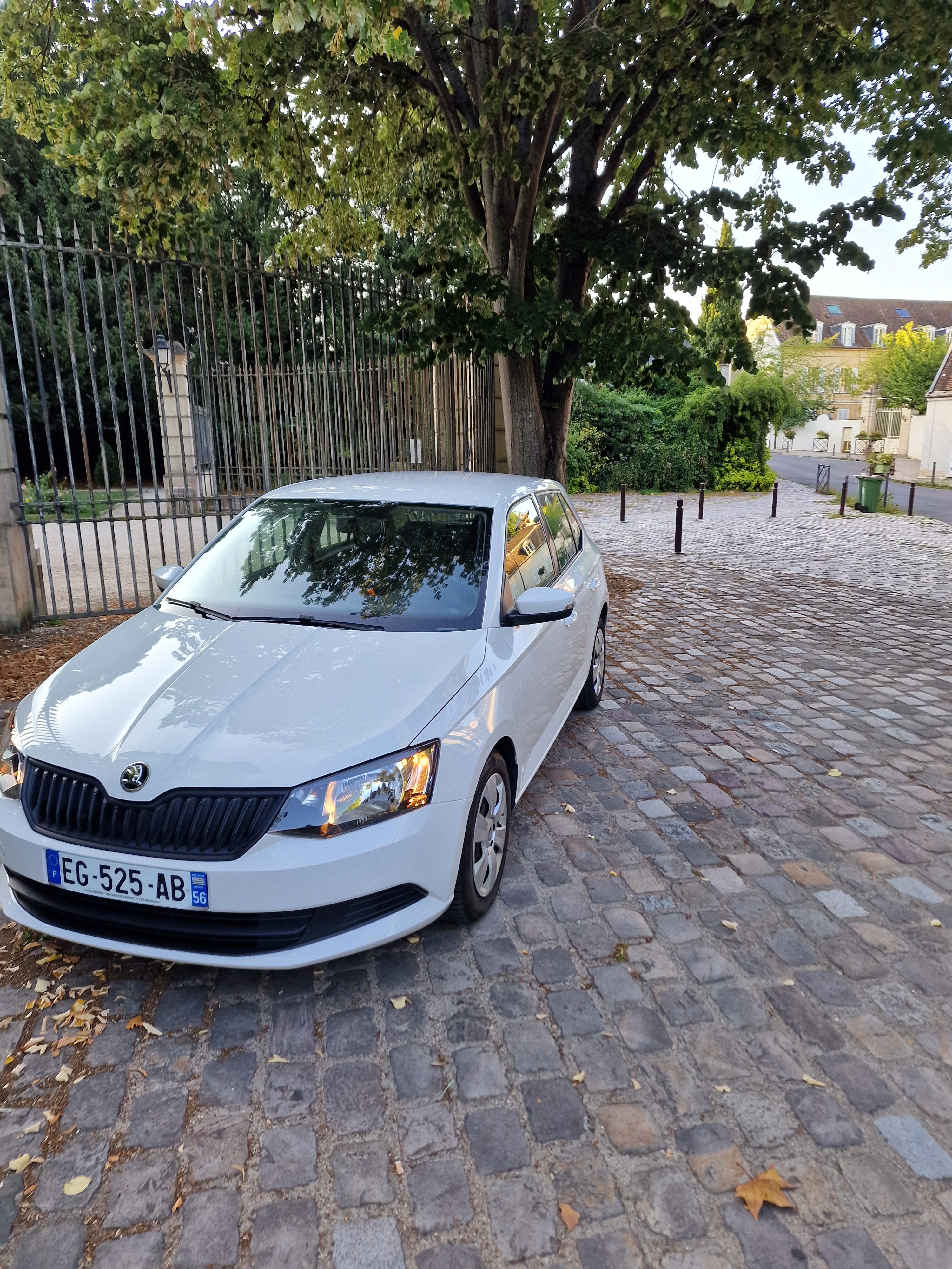 Skoda Fabia, 2016, Essence 98