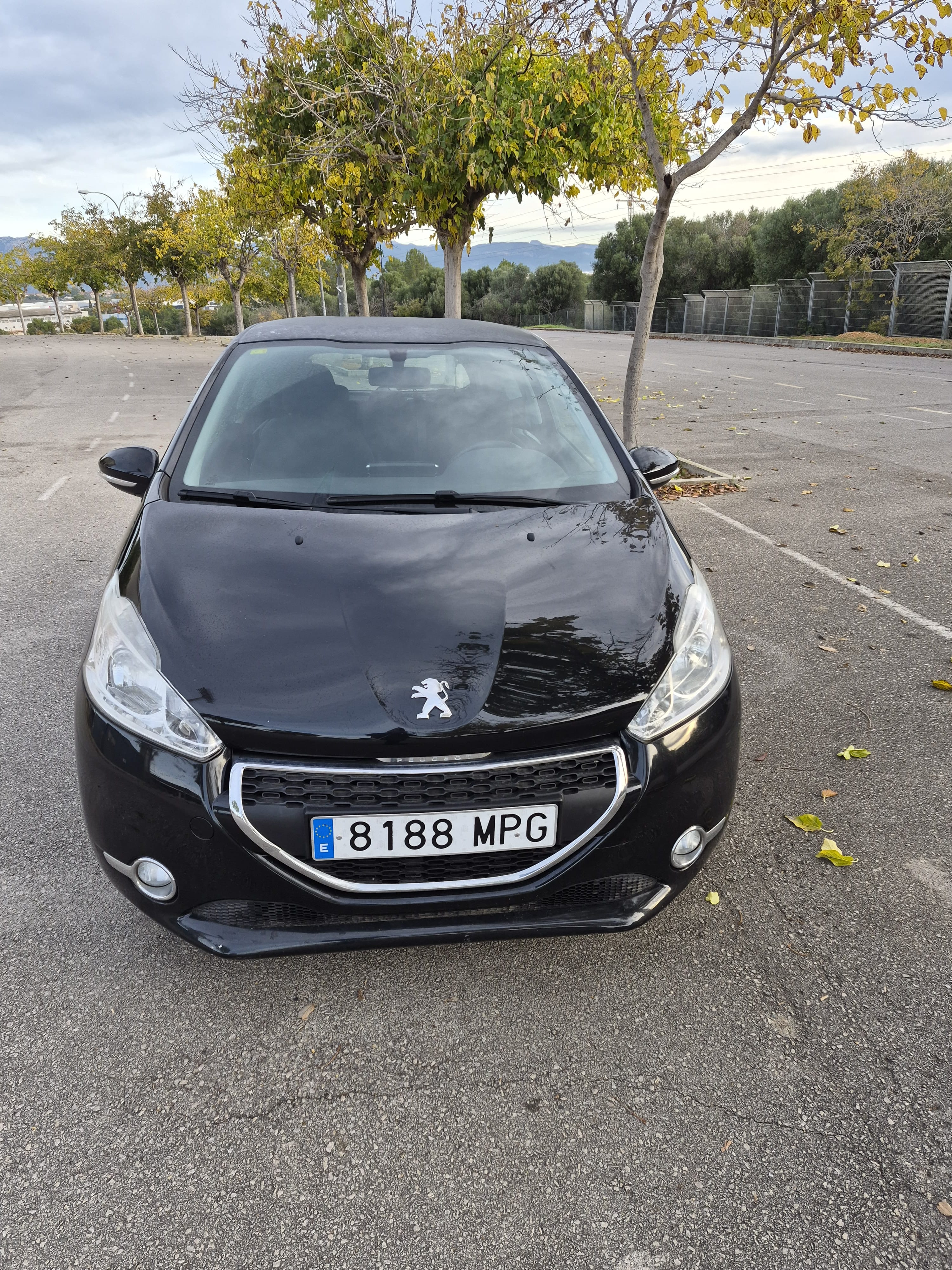 Peugeot 208, 2024, Gasolina 95