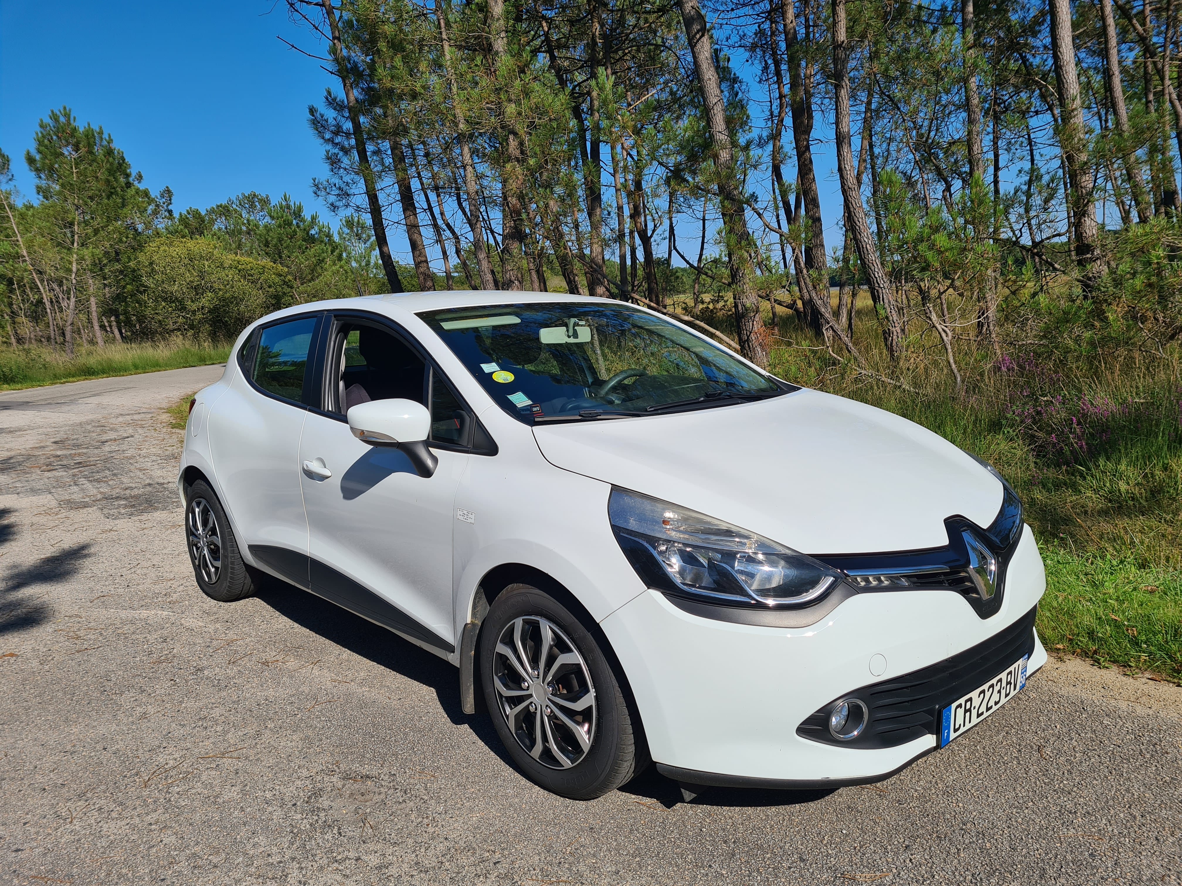 Renault Clio Société, 2013, Diesel