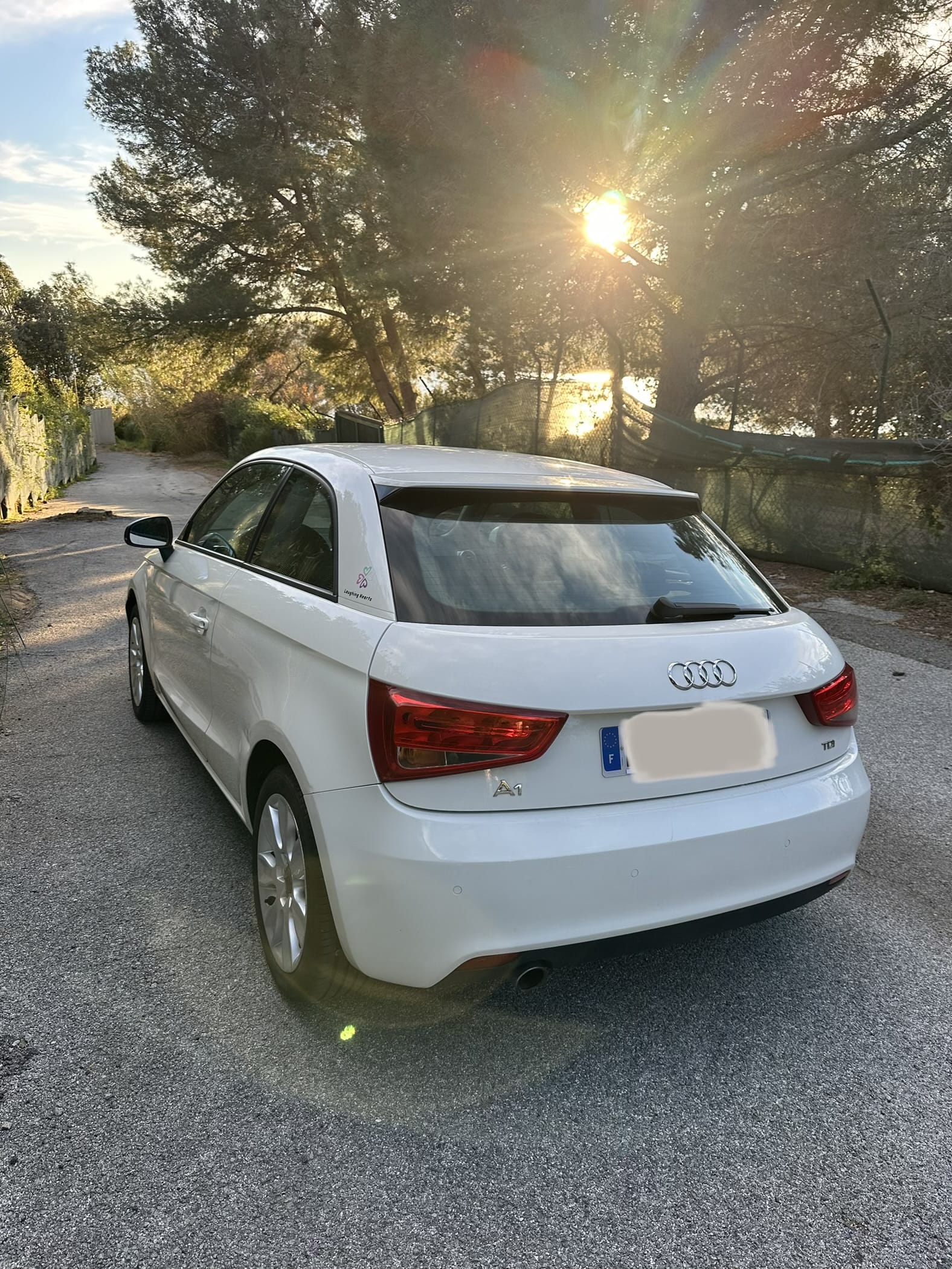 Audi A1 1.6 TDI 90 cv avec Régulateur de vitesse