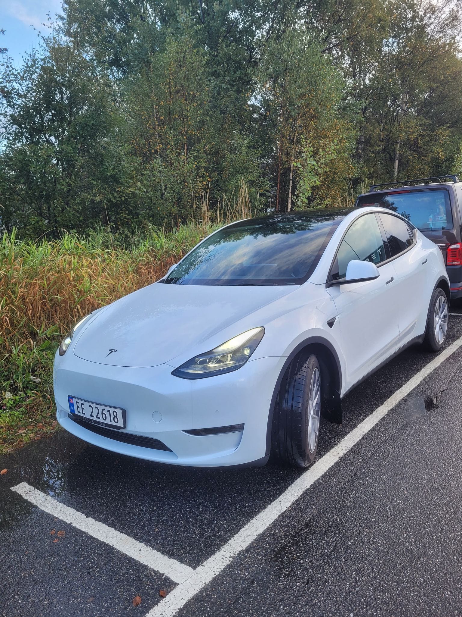 Tesla Model Y, 2022, Elektrisk, automatisk