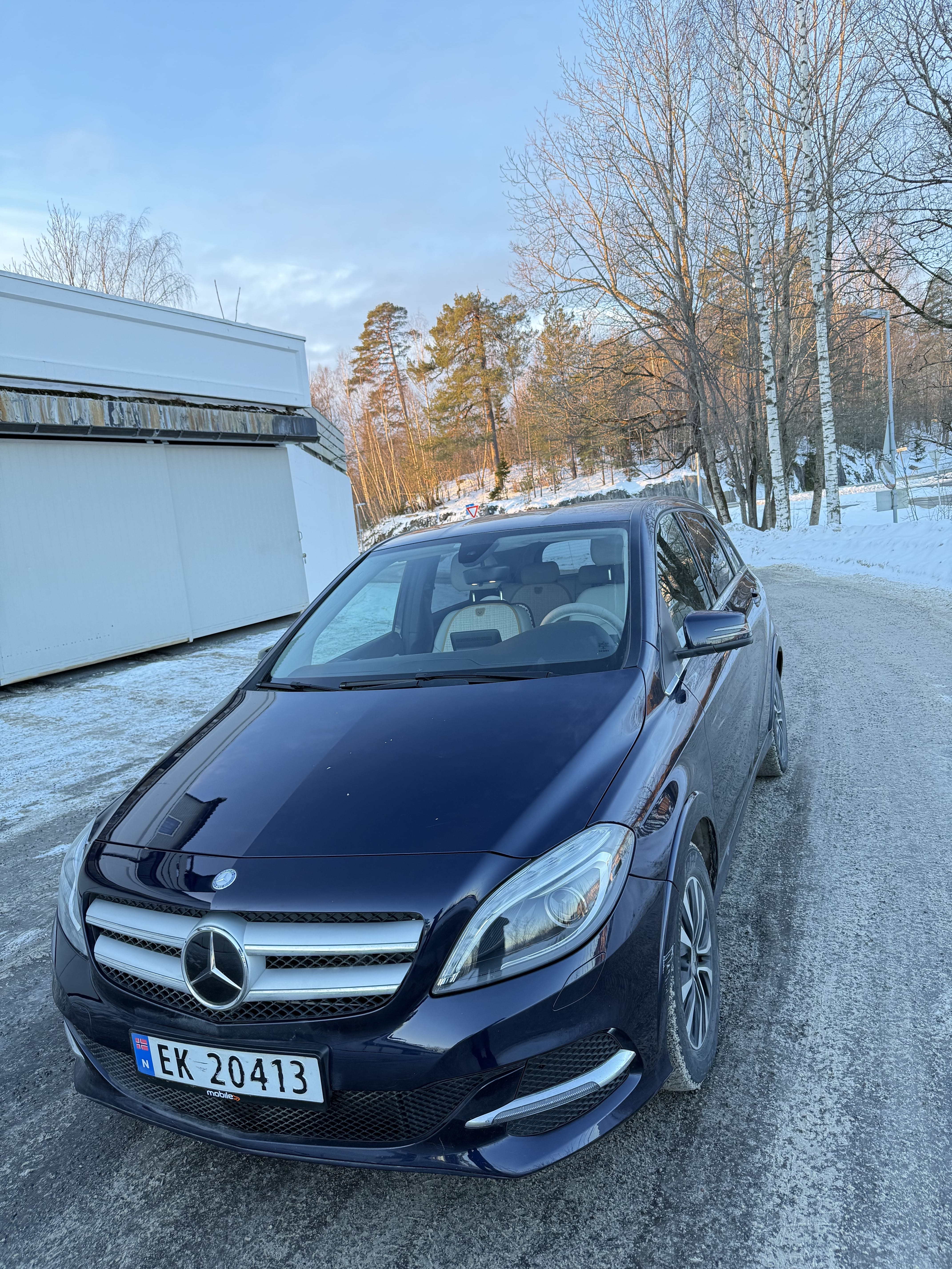 Mercedes-Benz B-Klasse Electric Drive med Ryggekamera